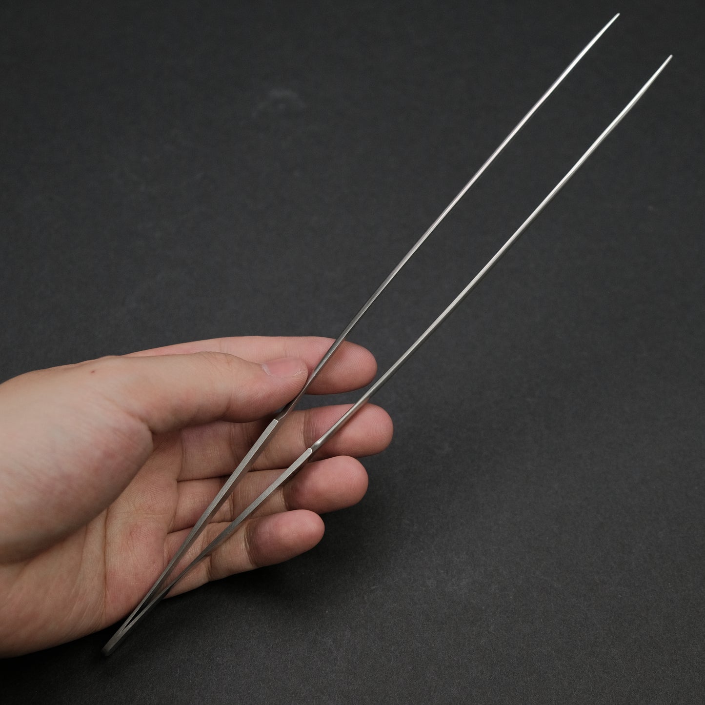ANEX Long Nose Tweezer 250mm (#153)