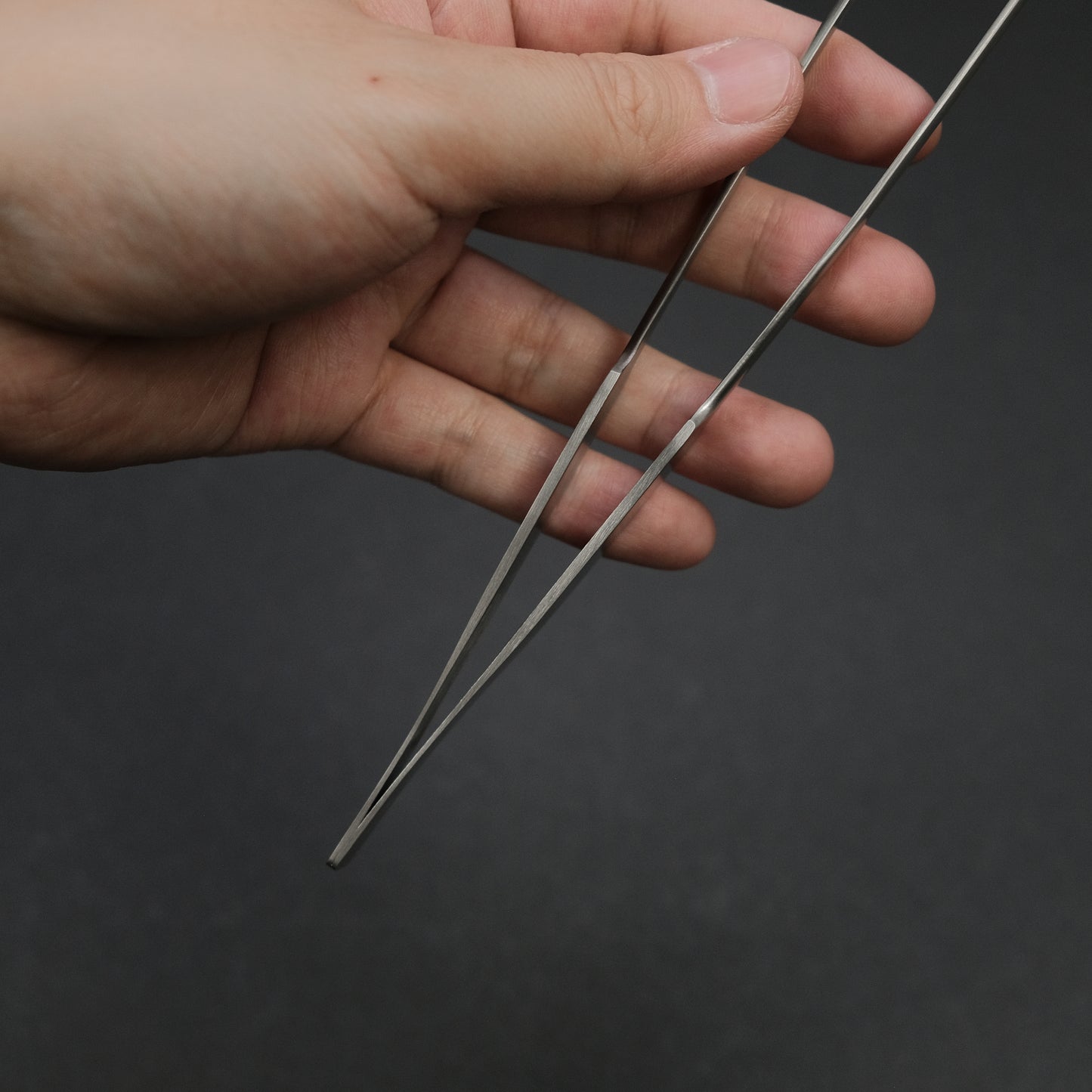ANEX Long Nose Tweezer 250mm (#153)
