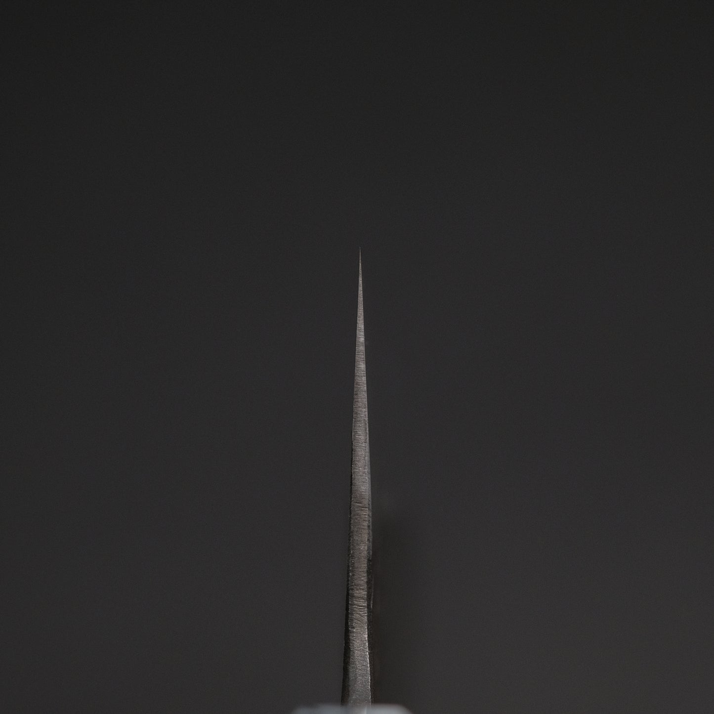 Ajikataya White #2 Matsuba Damascus Gyuto 240 Ebony x TQ Handle (#07)