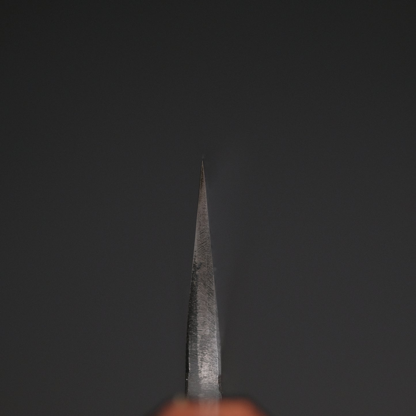 Ajikataya White #2 Matsuba Damascus Sujihiki 270 Rosewood x TQP Handle (#04)