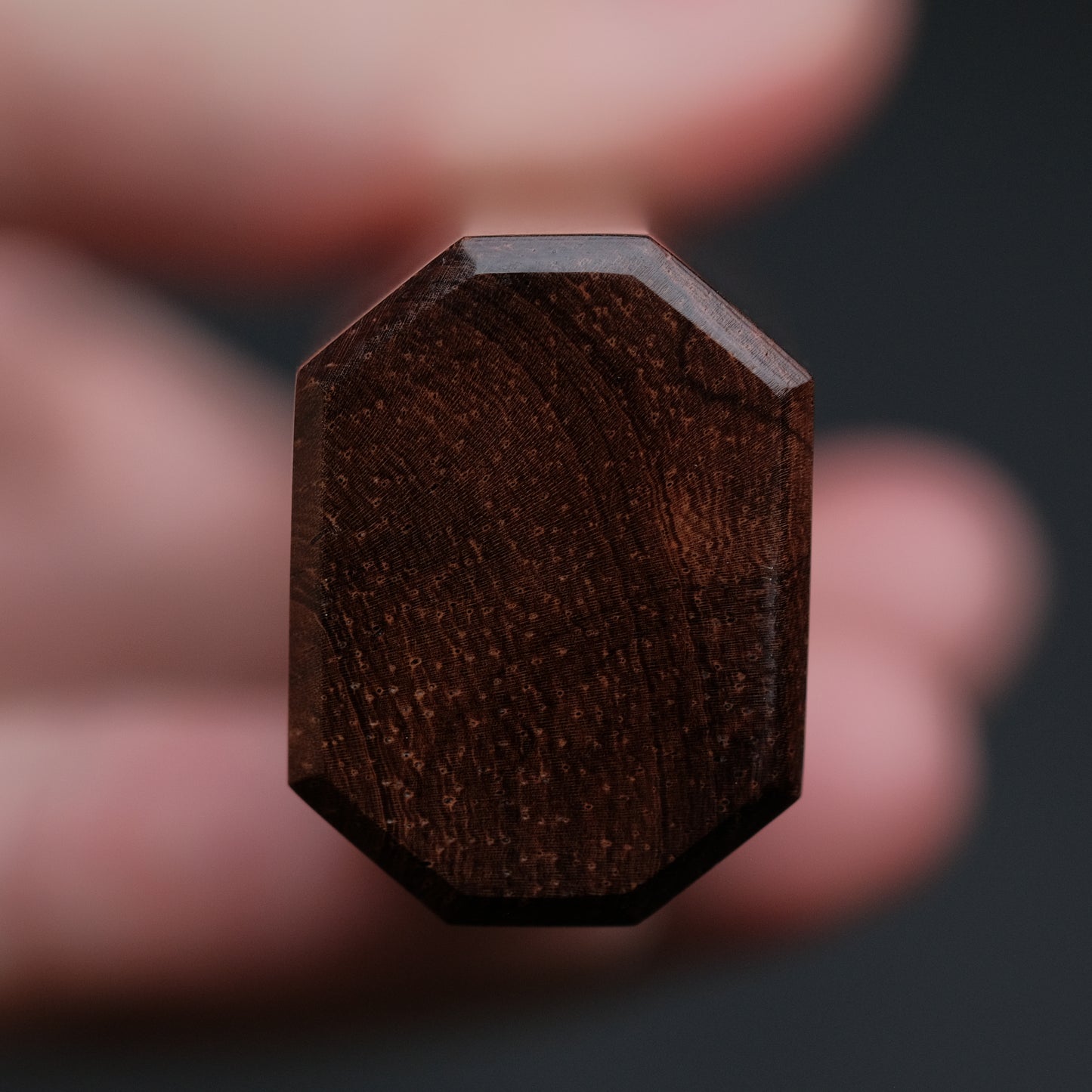 Ajikataya White #2 Nashiji Damascus Gyuto 240 Rosewood x TQP Handle (#42)