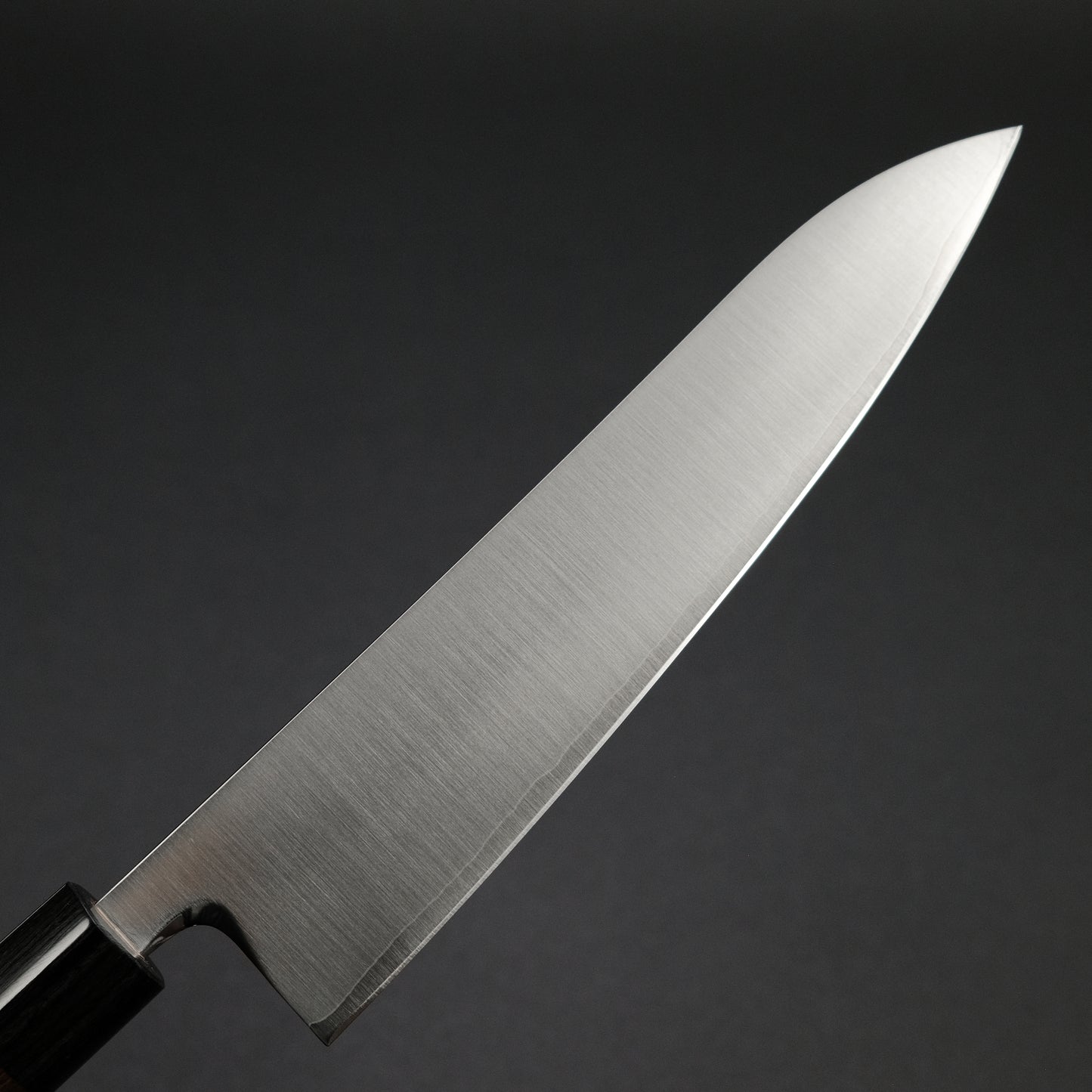 Akifusa Powder Metal Steel Gyuto 210mm Ebony Handle
