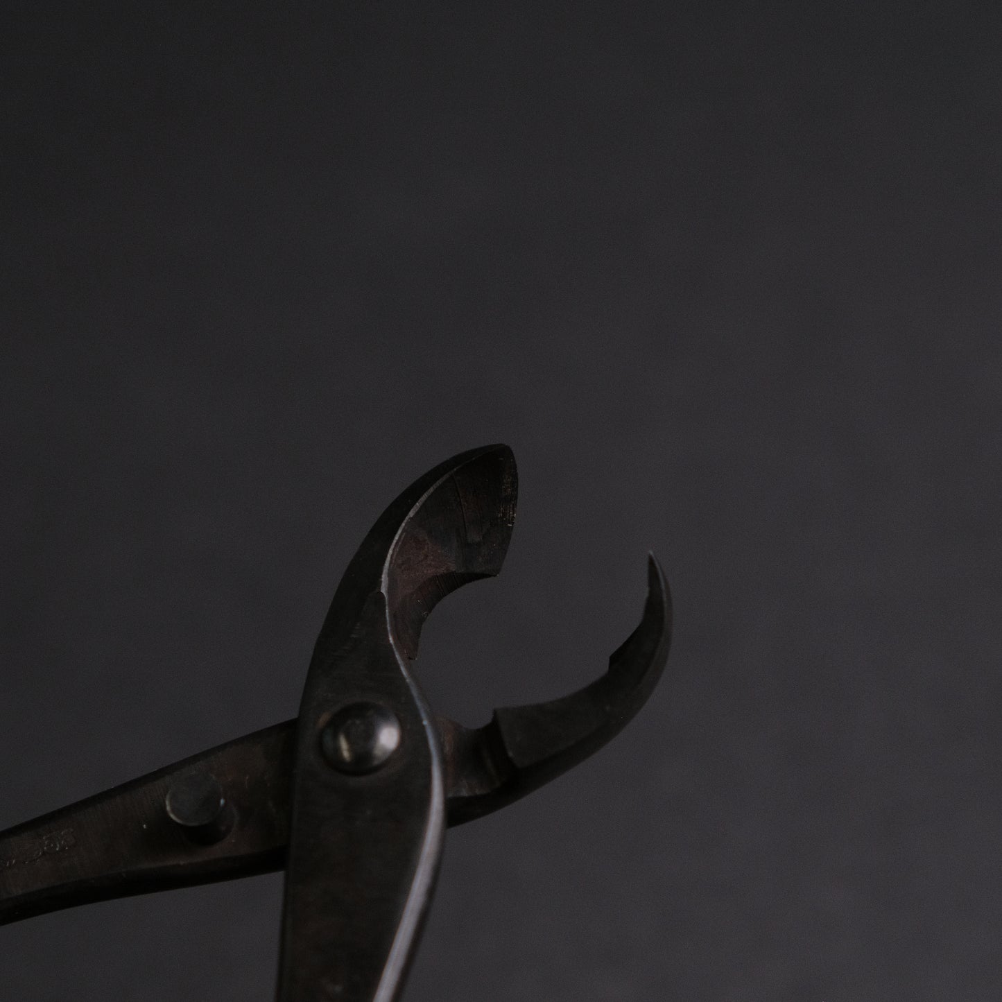 Masakuni Bonsai Tools