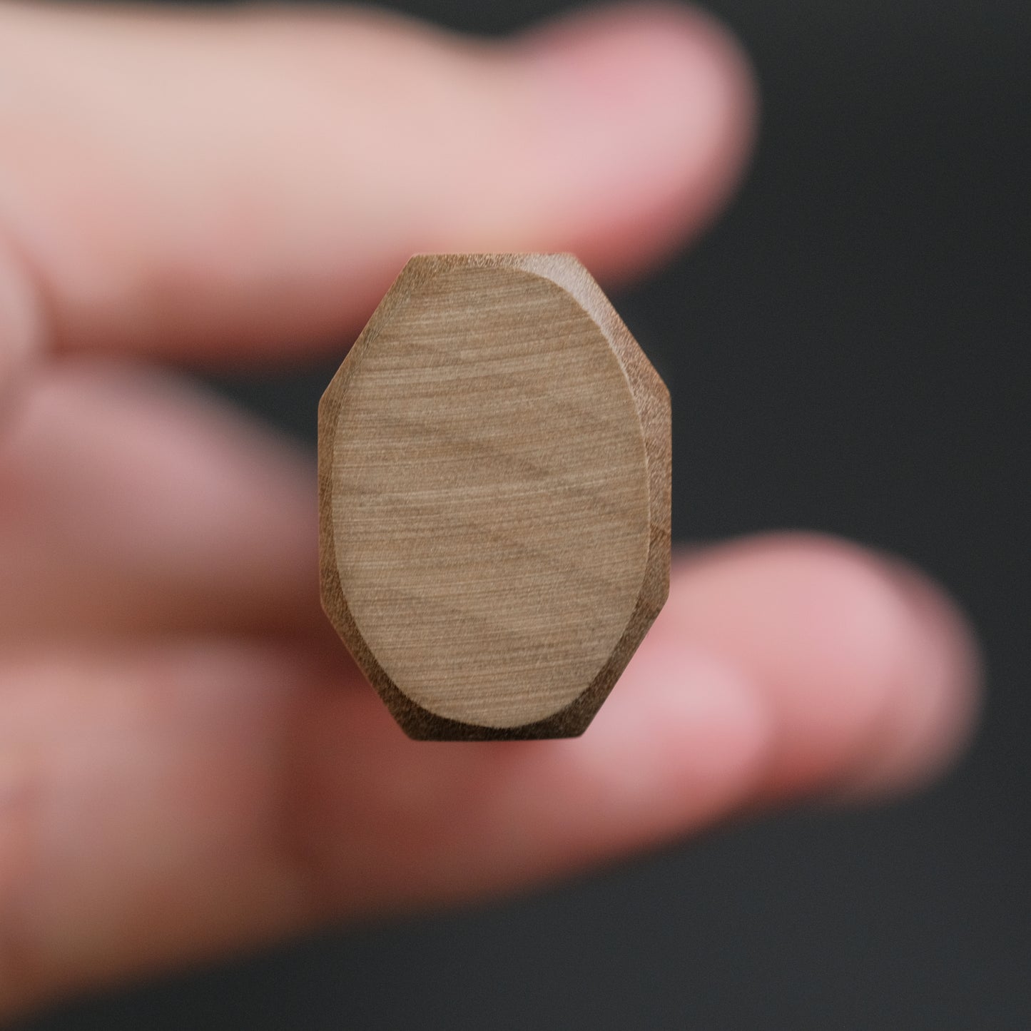 Hitohira FJ VG-10 Gyuto 210mm Taihei Ho Wood Handle (Wa)