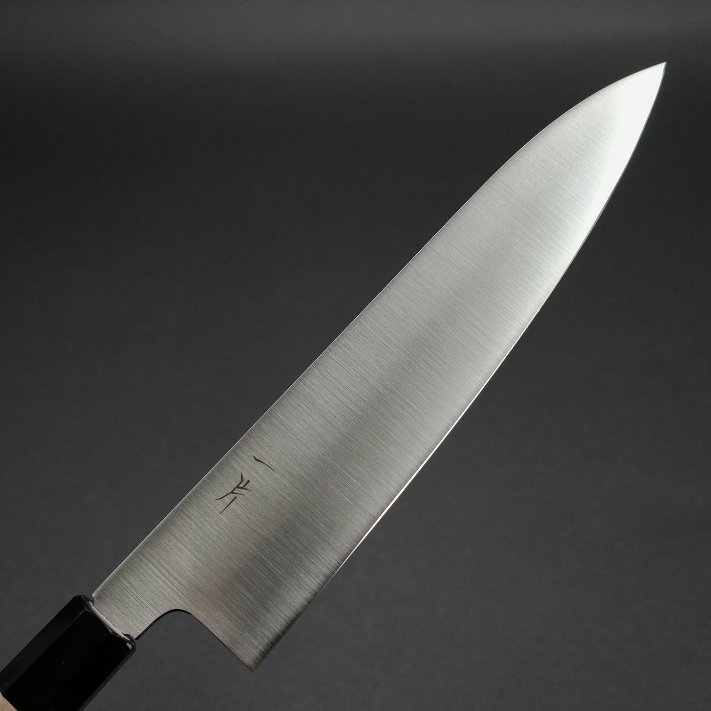 Hitohira FJ VG-10 Gyuto 240mm Ho Wood Handle (Wa)