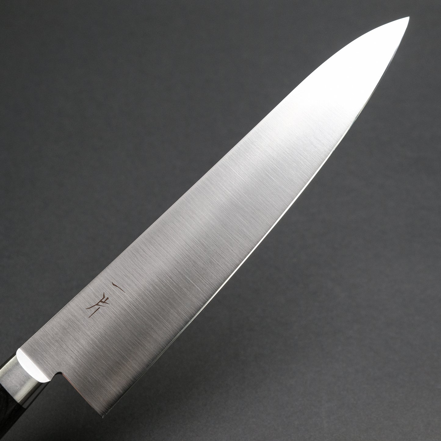 Hitohira FJ VG-10 Gyuto 240mm Pakka Handle