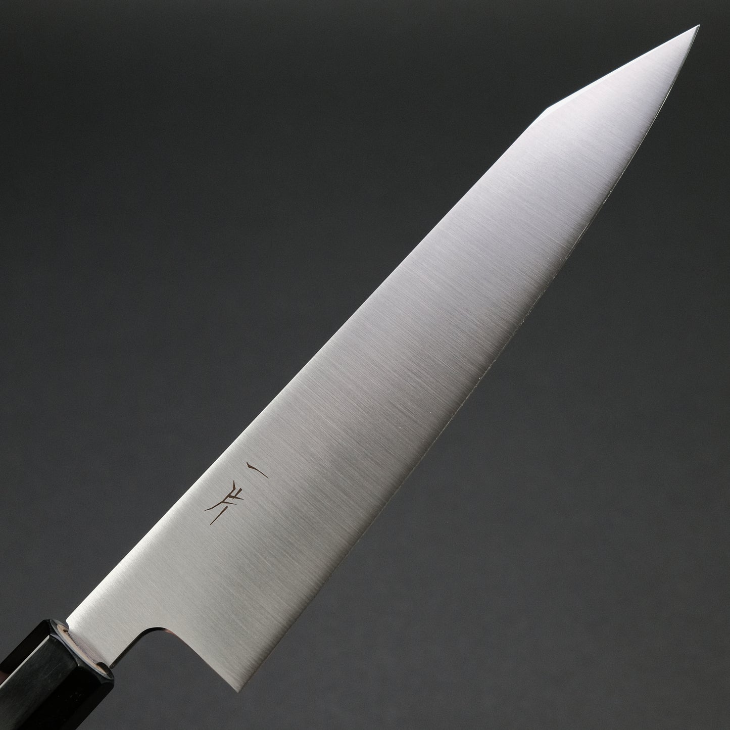 Hitohira FJ VG-10 Kiritsuke Gyuto 210mm Ho Wood Handle (Wa)