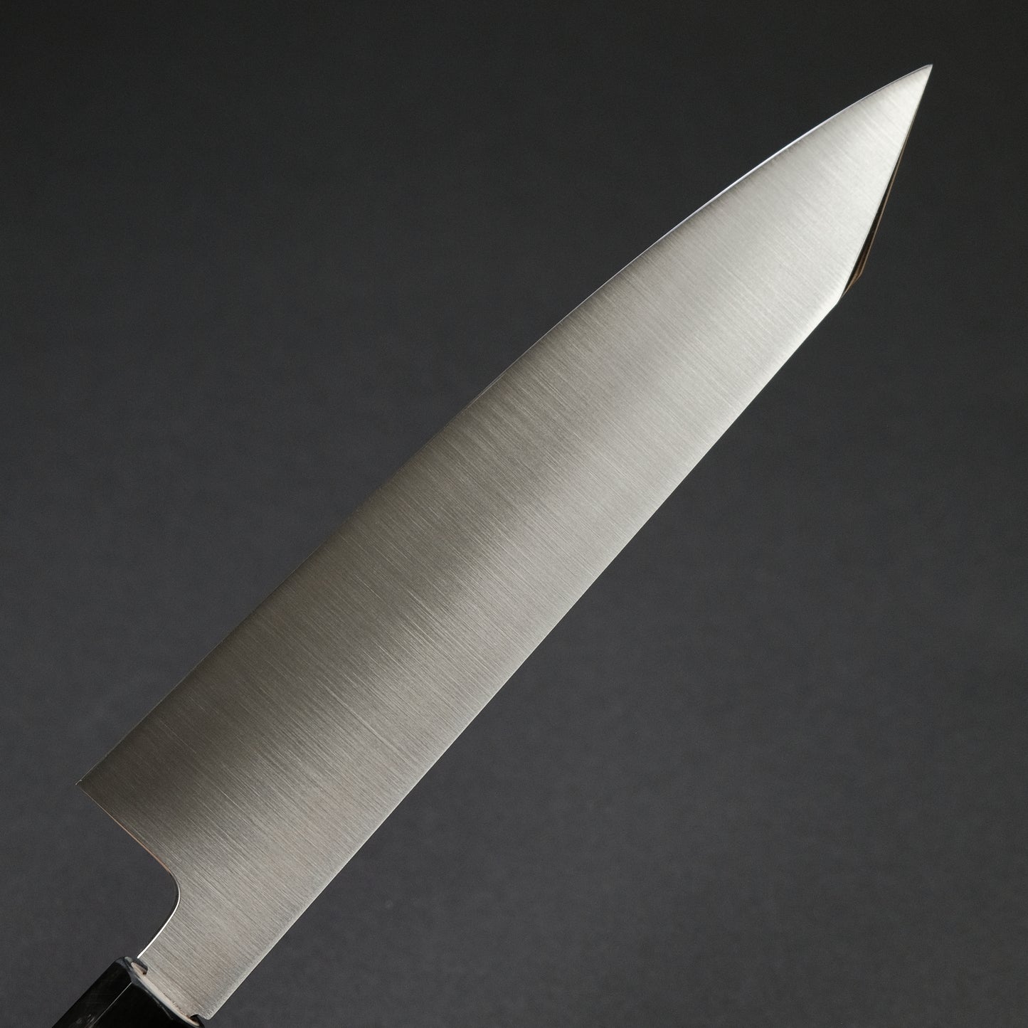 Hitohira FJ VG-10 Kiritsuke Gyuto 240mm Ho Wood Handle (Wa)