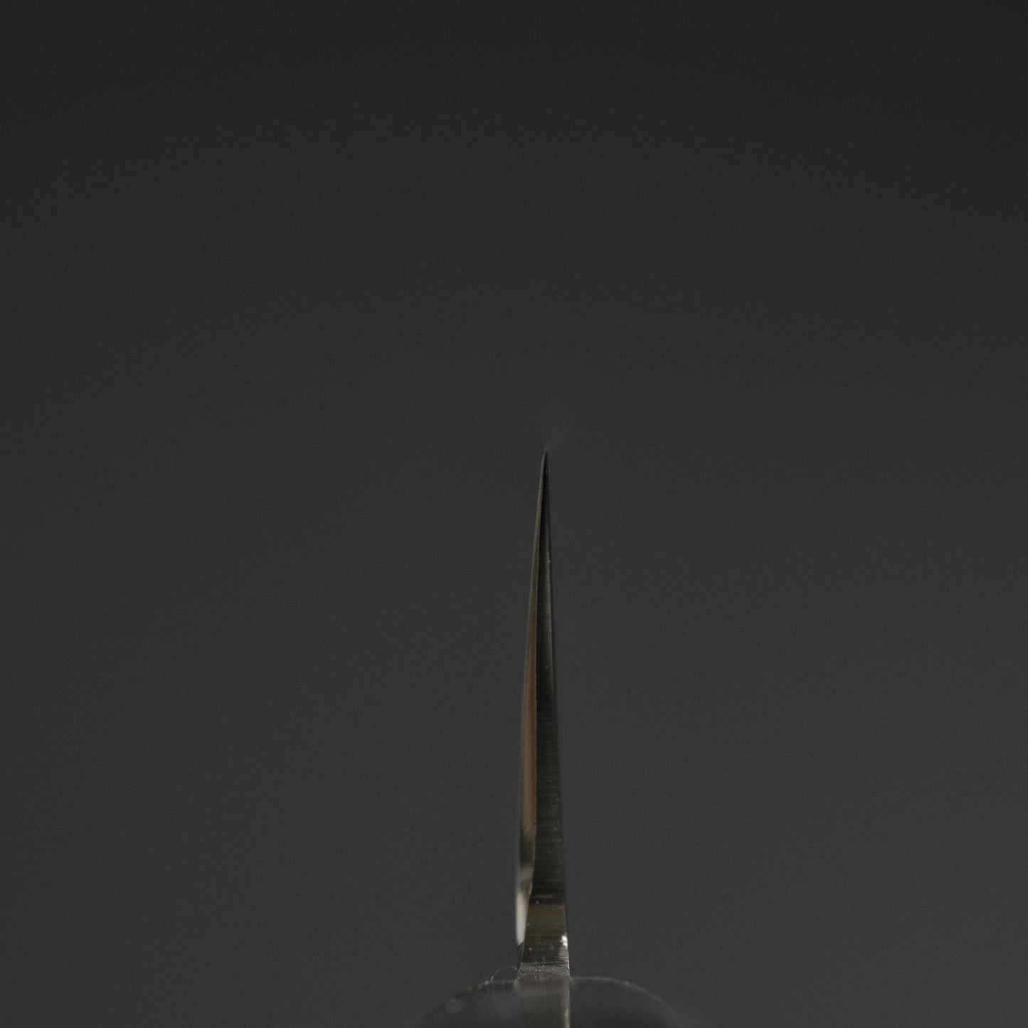 Hitohira FJ VG-10 Sujihiki 270mm Pakka Handle