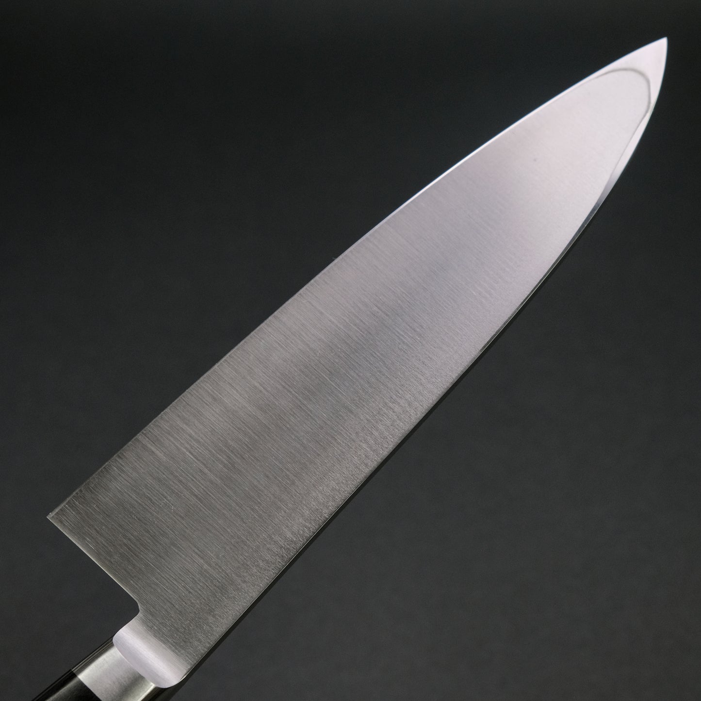 Hitohira FJ VG-1 Deba 210mm Pakka Handle