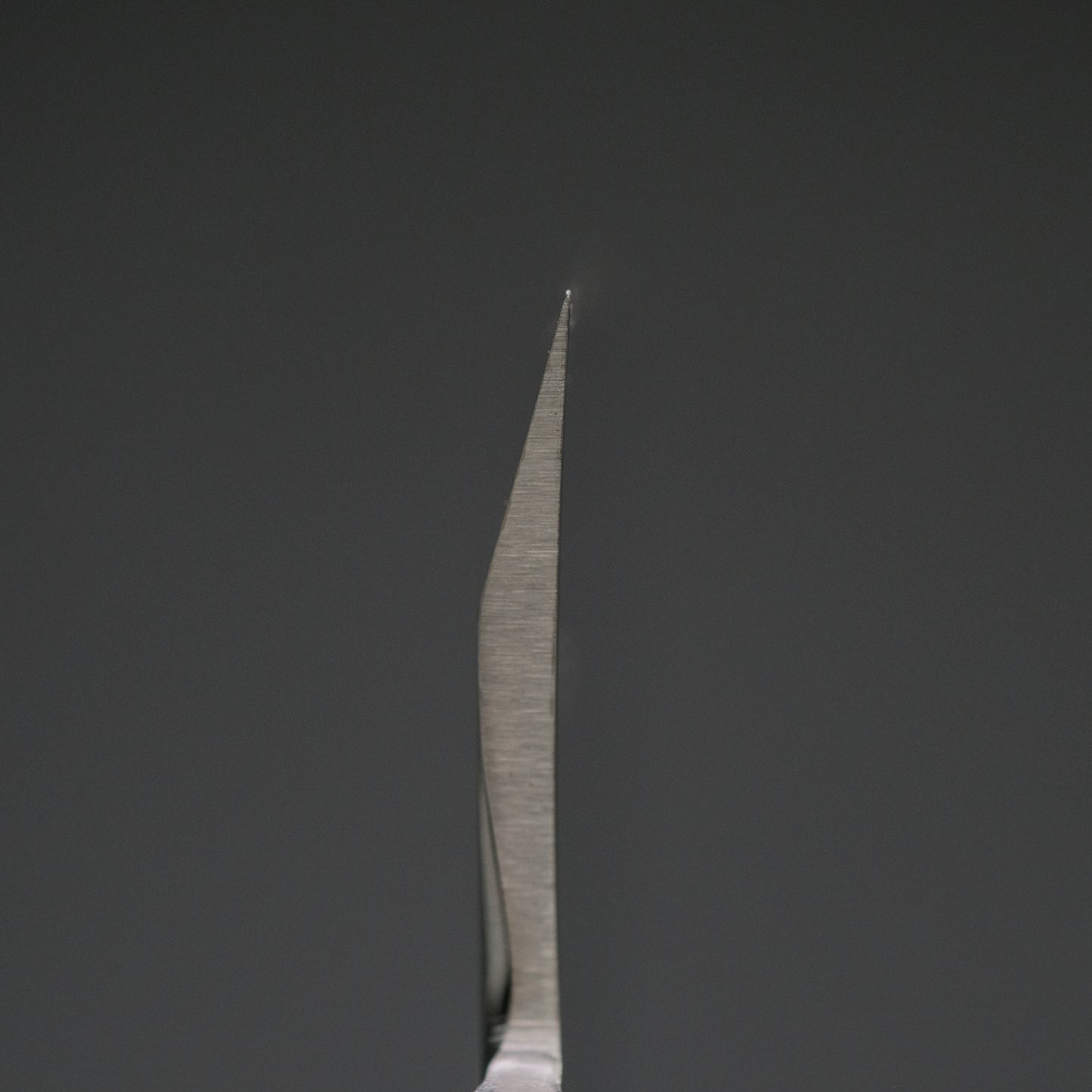 Hitohira FJ VG-1 Deba 210mm Pakka Handle