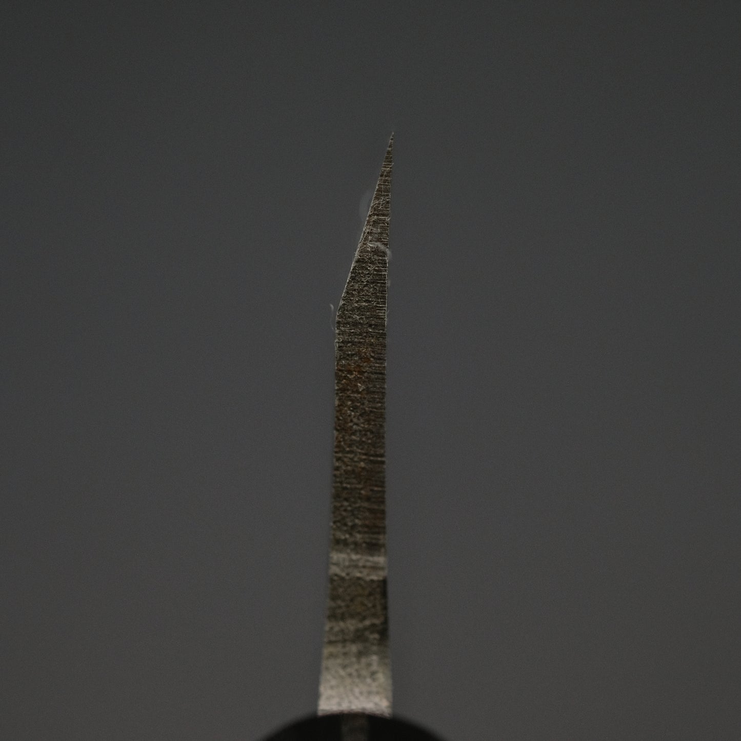 Hitohira Gorobei Blue #2 Deba 180mm Ho Wood Handle (D-Shape)
