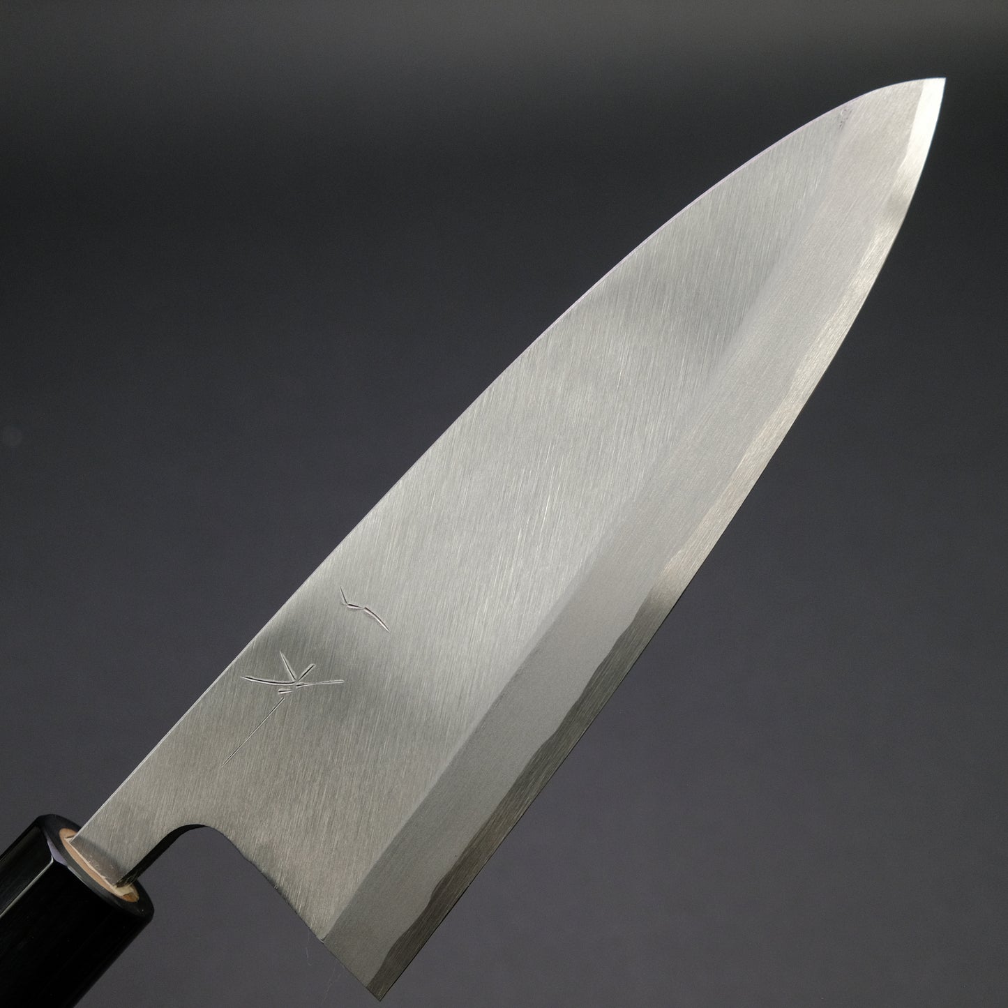 Hitohira Gorobei Blue #2 Deba 180mm Ho Wood Handle (D-Shape)