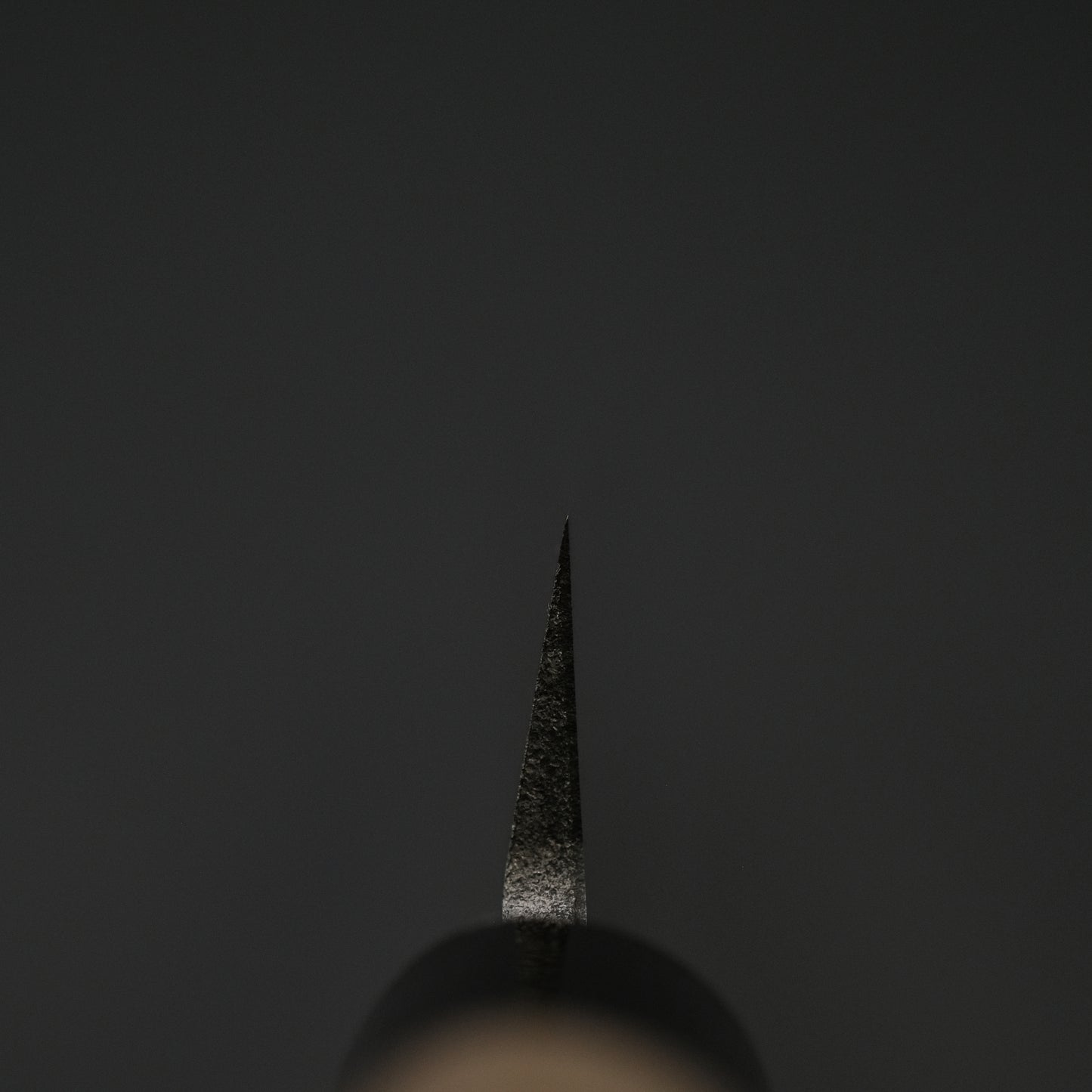 Hitohira Gorobei Blue #2 Yanagiba 300mm Ho Wood Handle