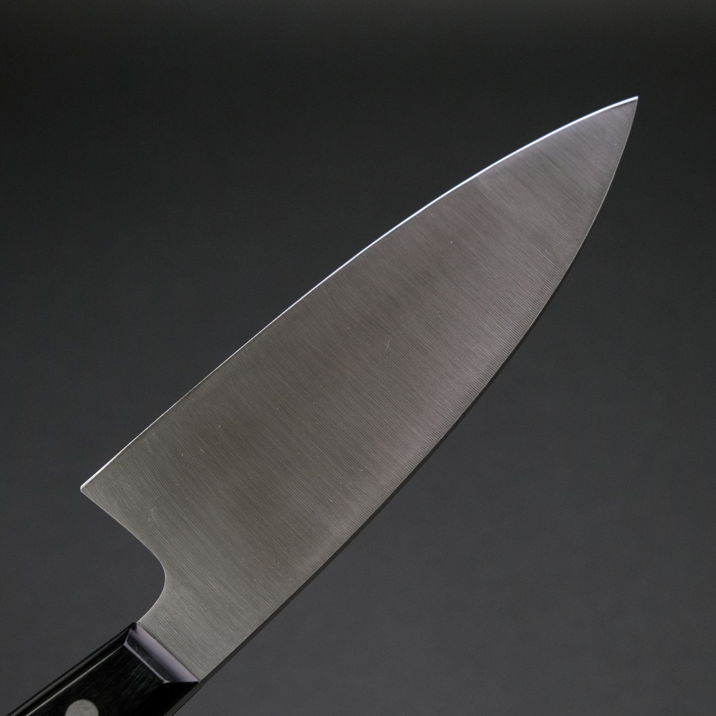 Hitohira Hiragana Deba 150mm Pakka Handle (No Bolster)