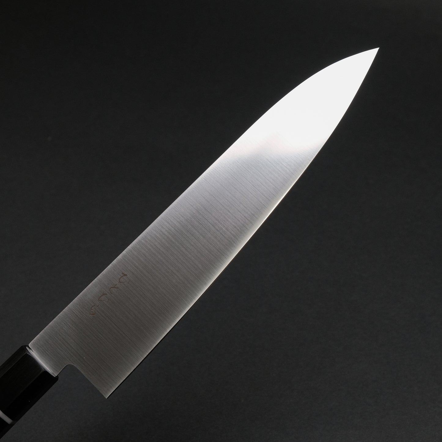 Hitohira Hiragana WS Gyuto 210mm Pakka Handle