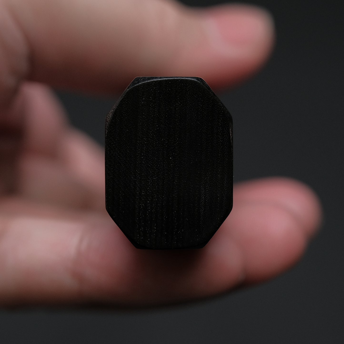 Hitohira Hiragana WS Gyuto 210mm Pakka Handle