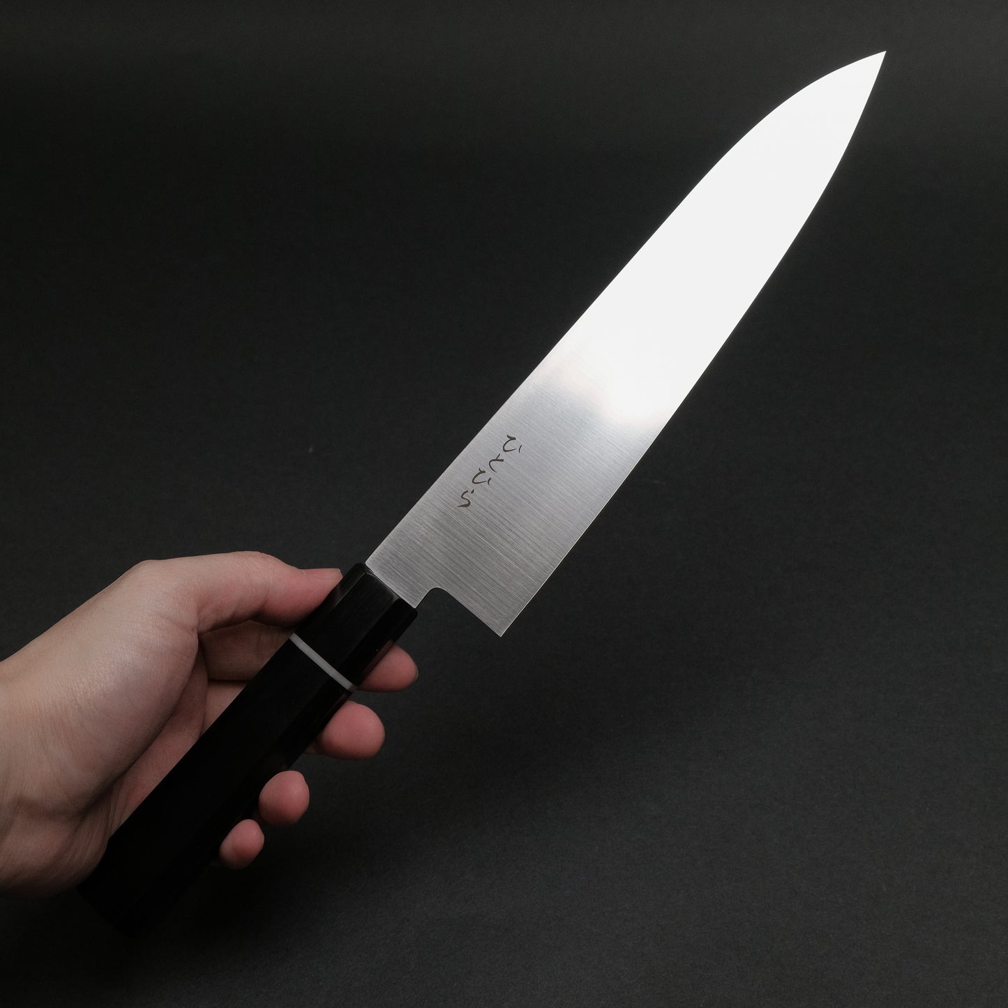Hitohira Hiragana WS Gyuto 210mm Pakka Handle