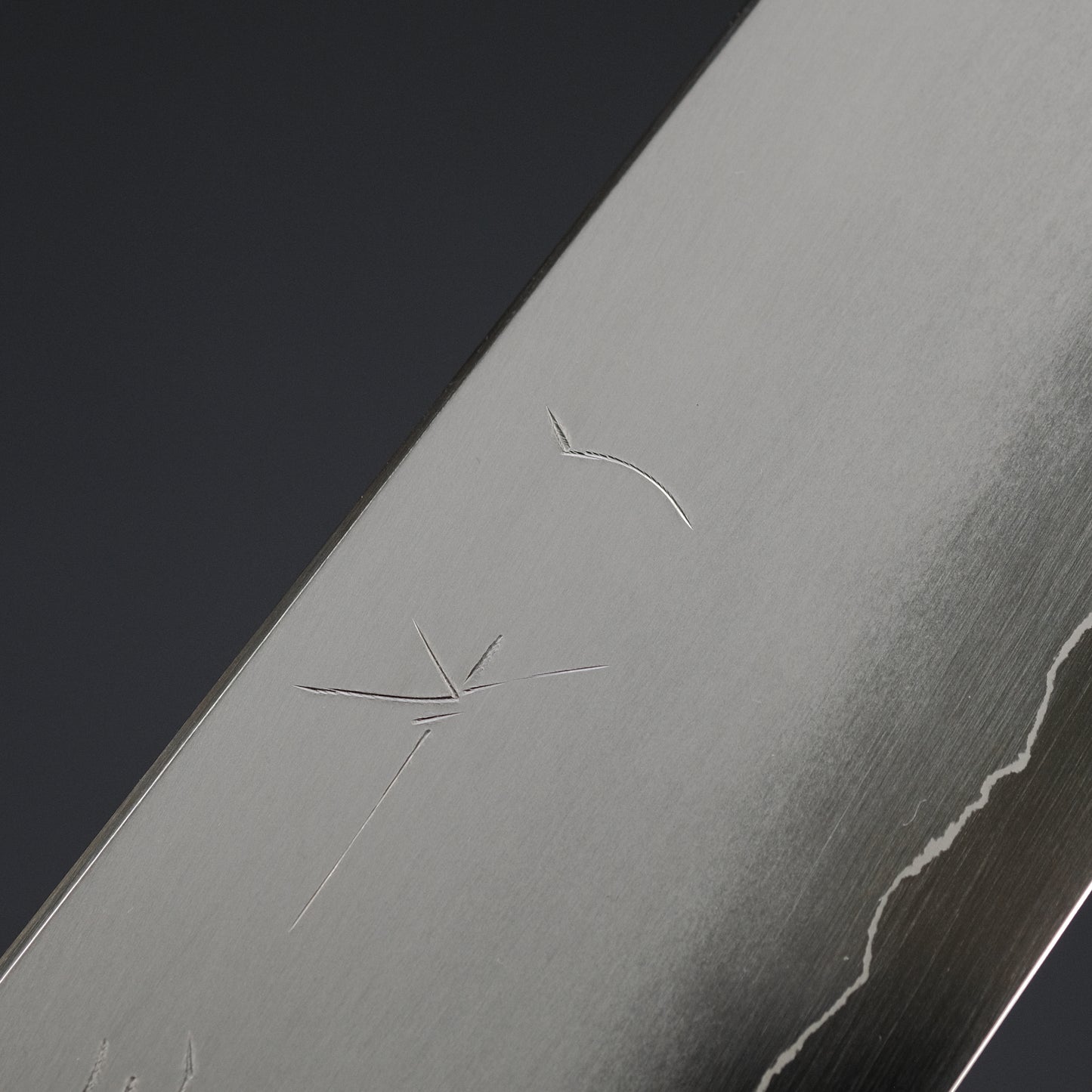 Hitohira Kikuchiyo Izo Silver #3 Gyuto 240mm Yakusugi Cedar Handle