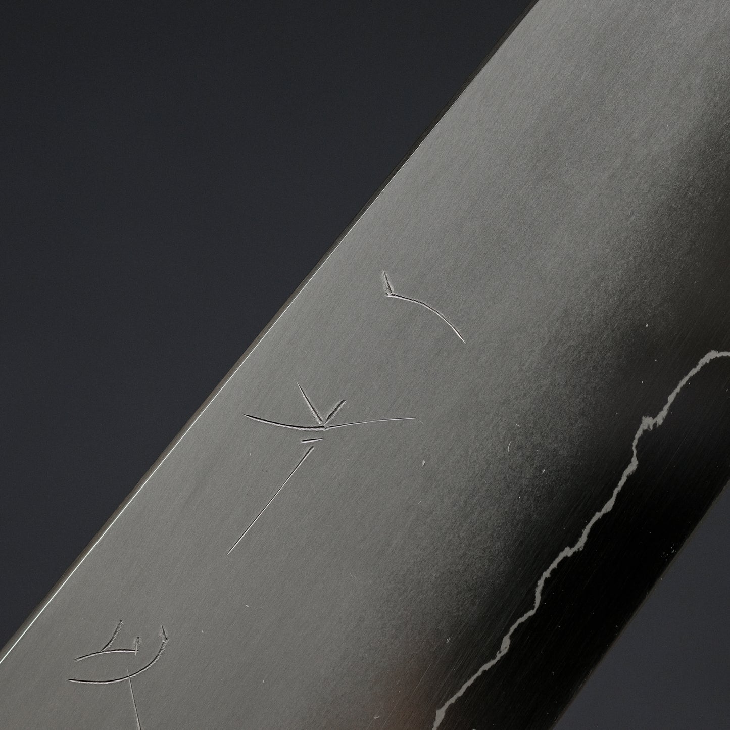 Hitohira Kikuchiyo Izo Silver #3 Gyuto 240mm Yakusugi Cedar Handle