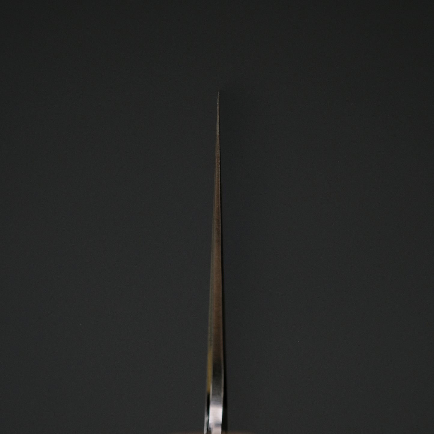 Hitohira Kikuchiyo Izo Silver #3 Gyuto 240mm Yakusugi Cedar Handle