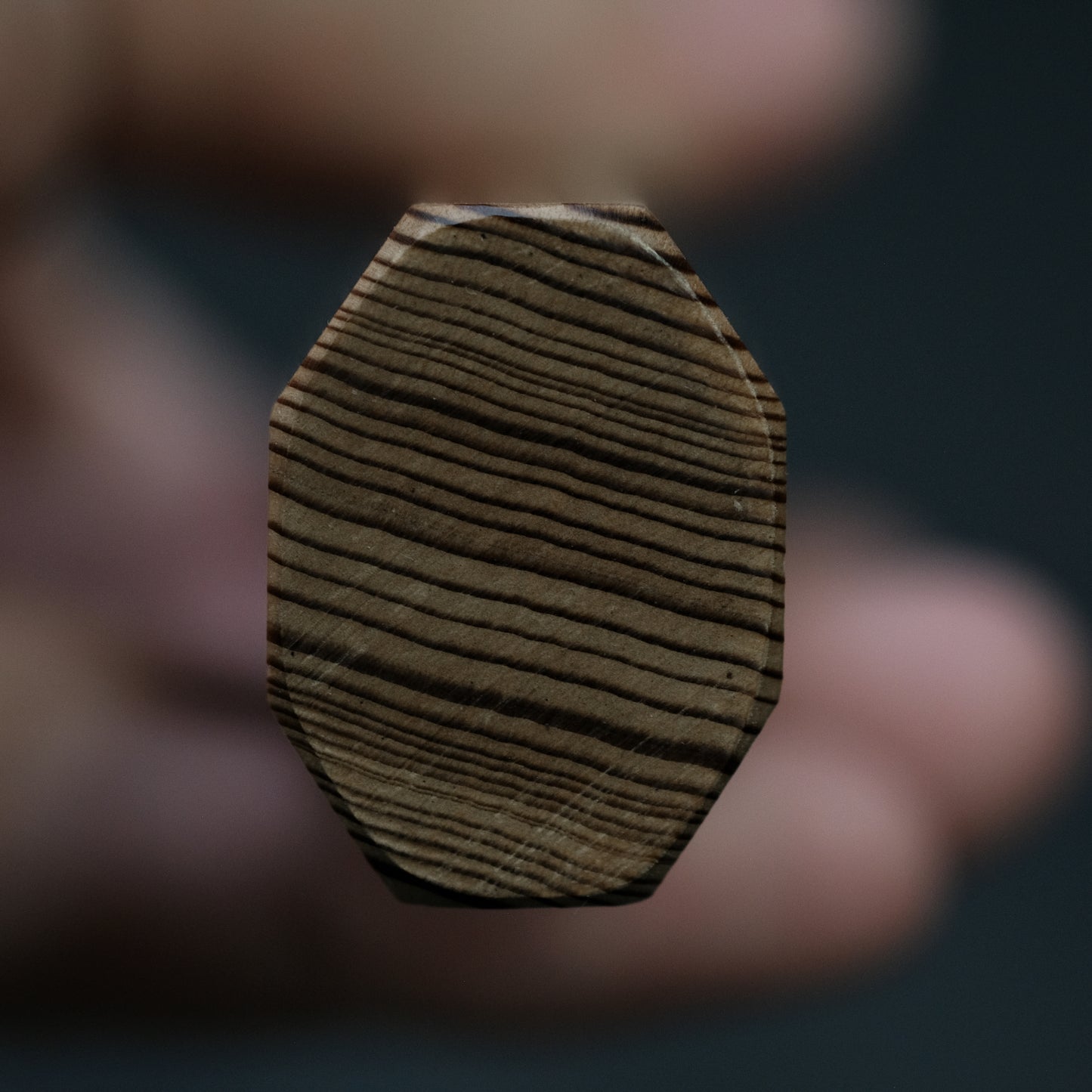 Hitohira Kikuchiyo Izo Silver #3 Gyuto 240mm Yakusugi Cedar Handle