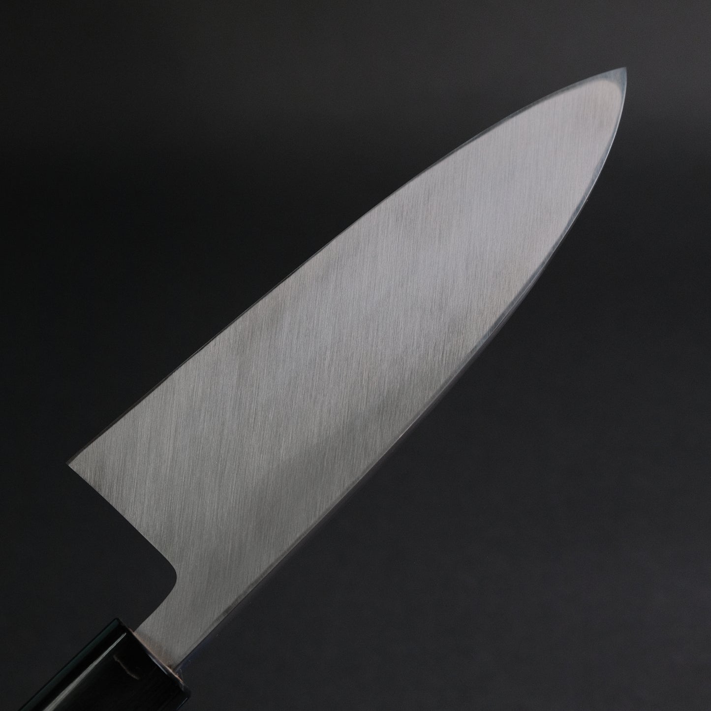 Hitohira Kikuchiyo Manzo White #3 Deba 150mm Ho Wood Handle (D-Shape)