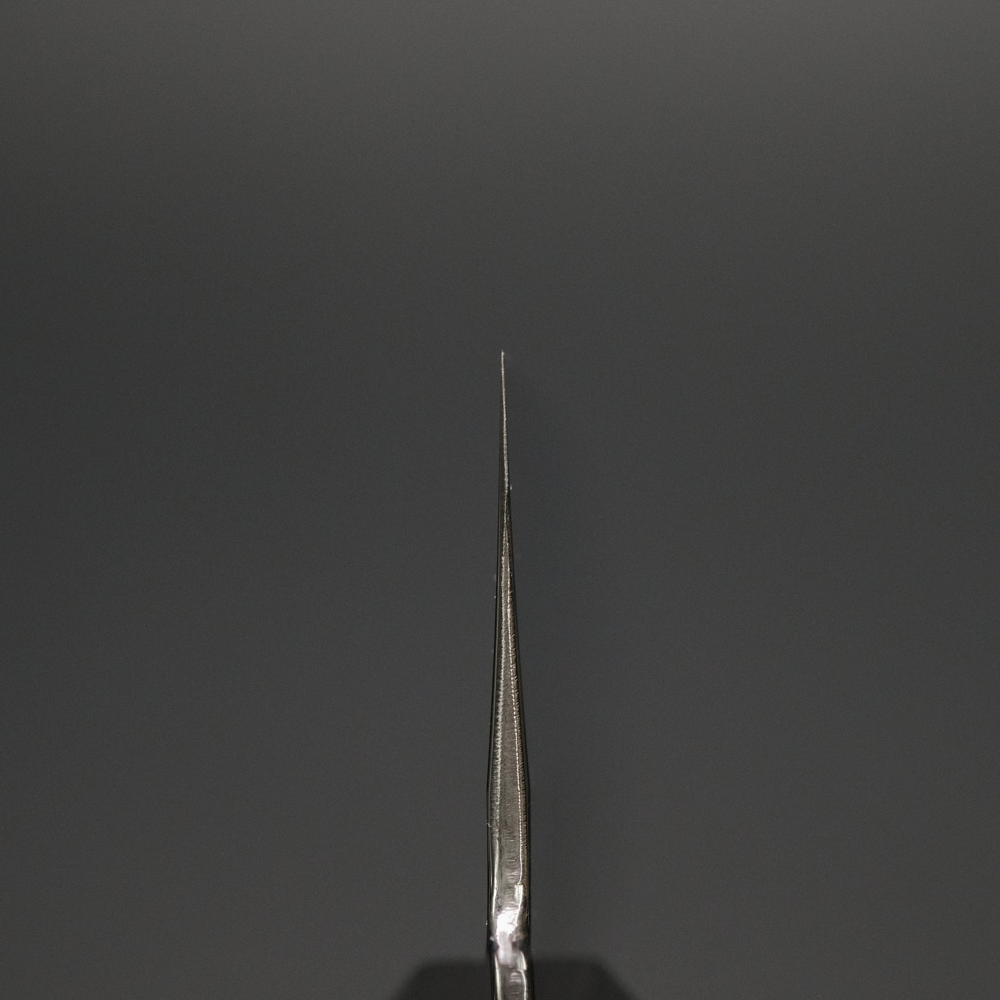 Hitohira Kikuchiyo Ren Silver #3 Gyuto 240mm Ho Wood Handle
