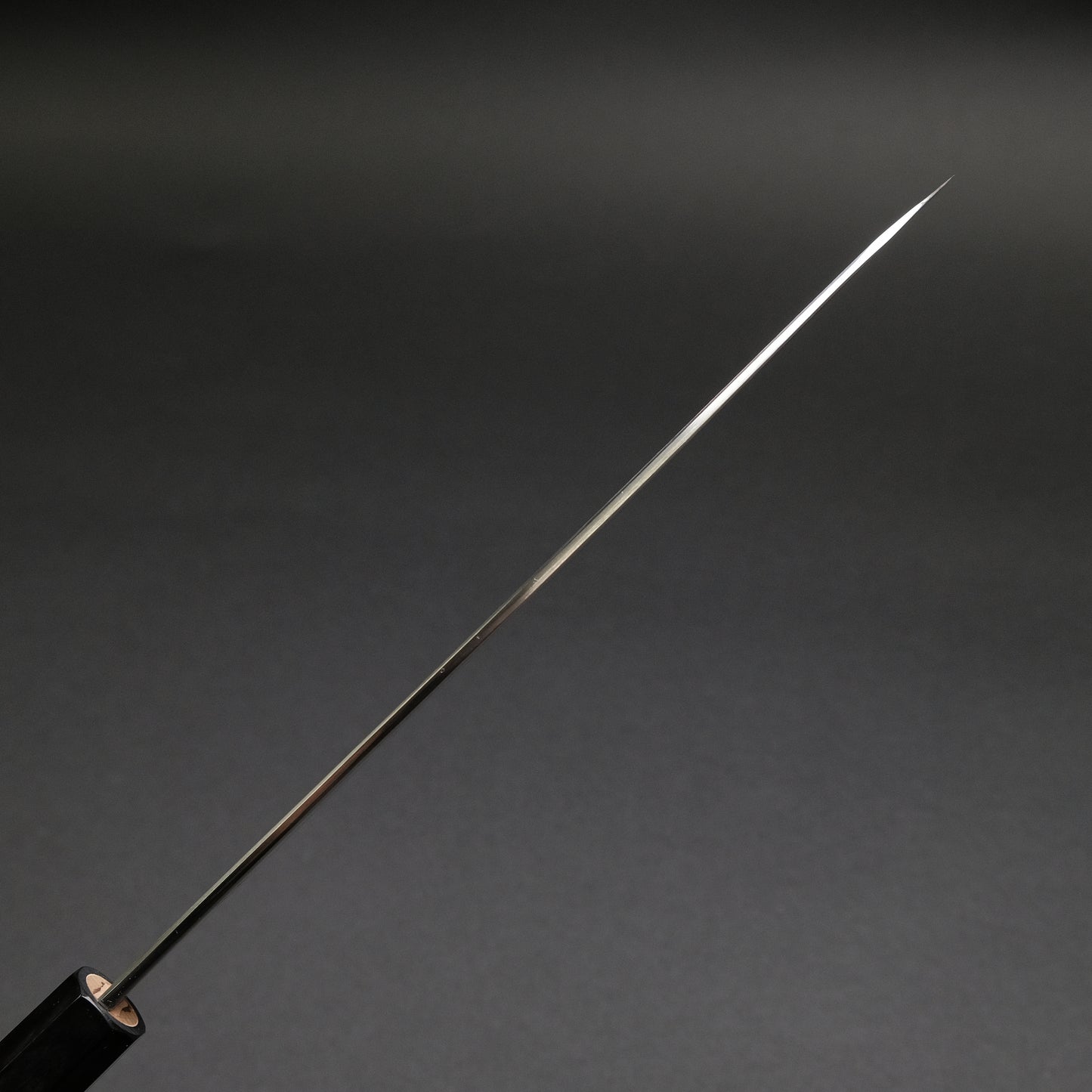 Hitohira Kikuchiyo Ren White #2 Gyuto 240mm Ho Wood Handle
