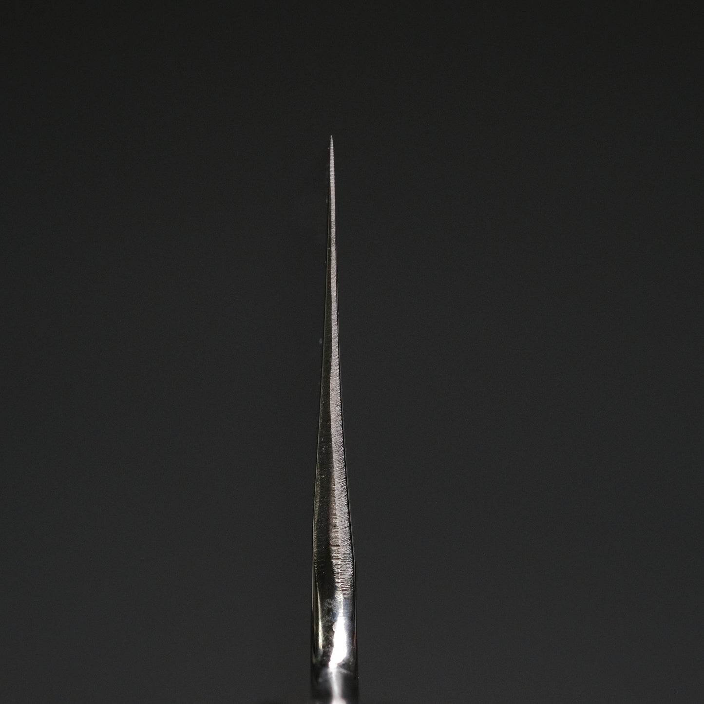 Hitohira Kikuchiyo Ren White #2 Gyuto 240mm Ho Wood Handle