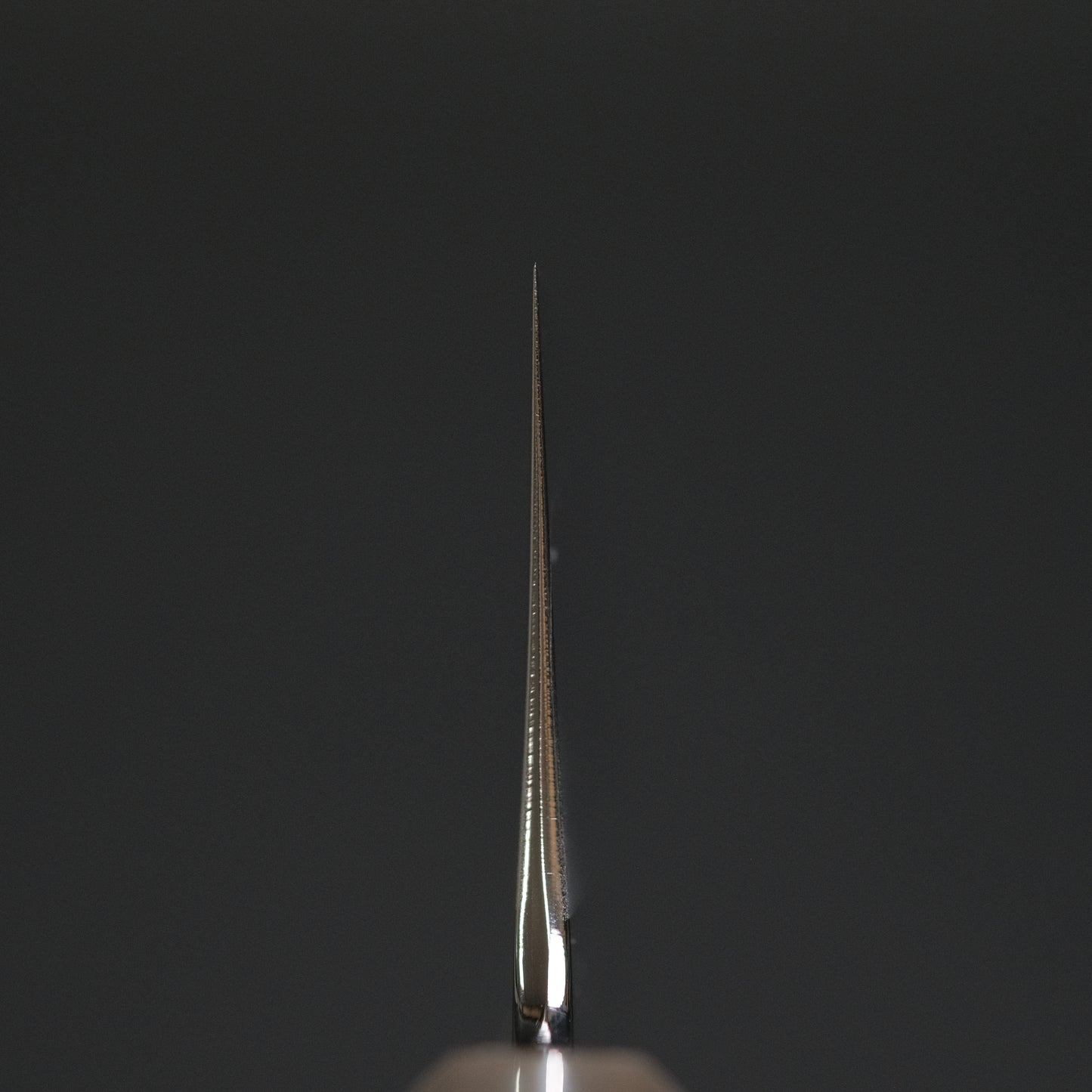 Hitohira Kikuchiyo Rou Silver #3 Mirror Polished Gyuto 210mm Ebony Handle