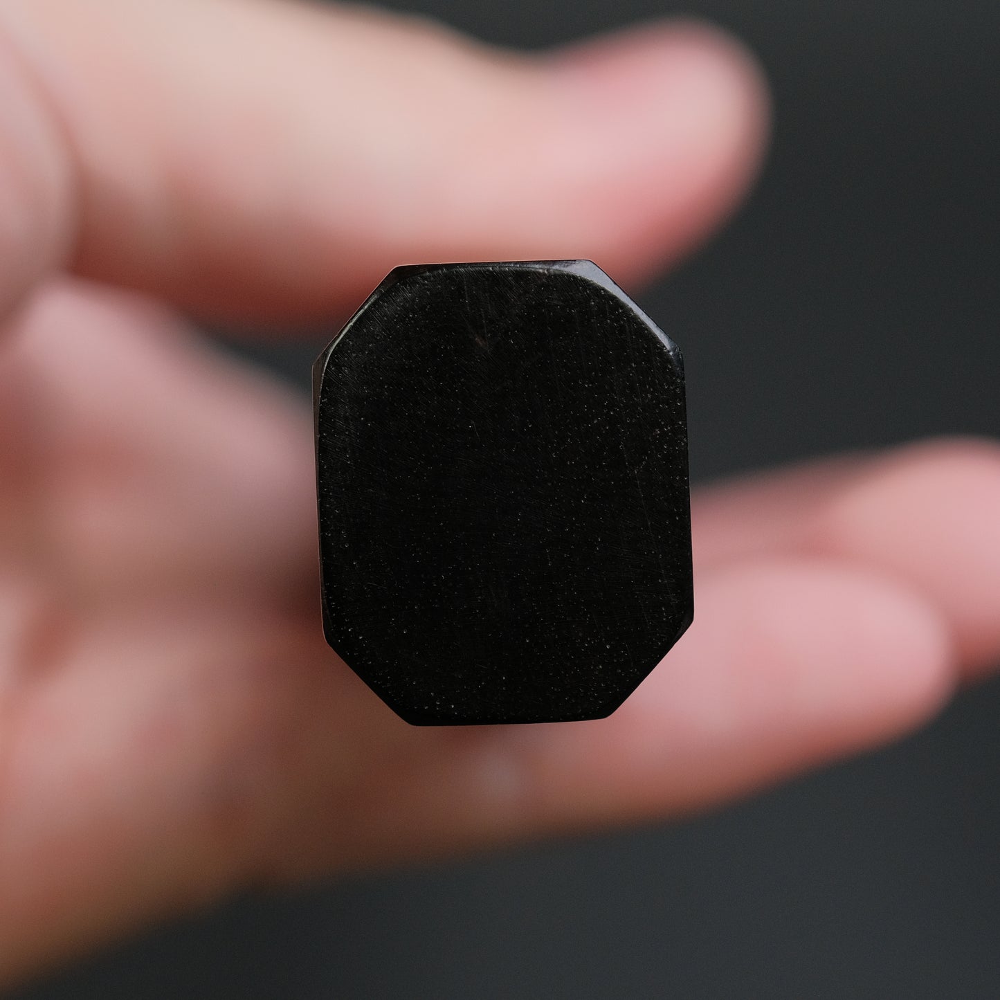 Hitohira Kikuchiyo Rou Silver #3 Mirror Polished Gyuto 210mm Ebony Handle