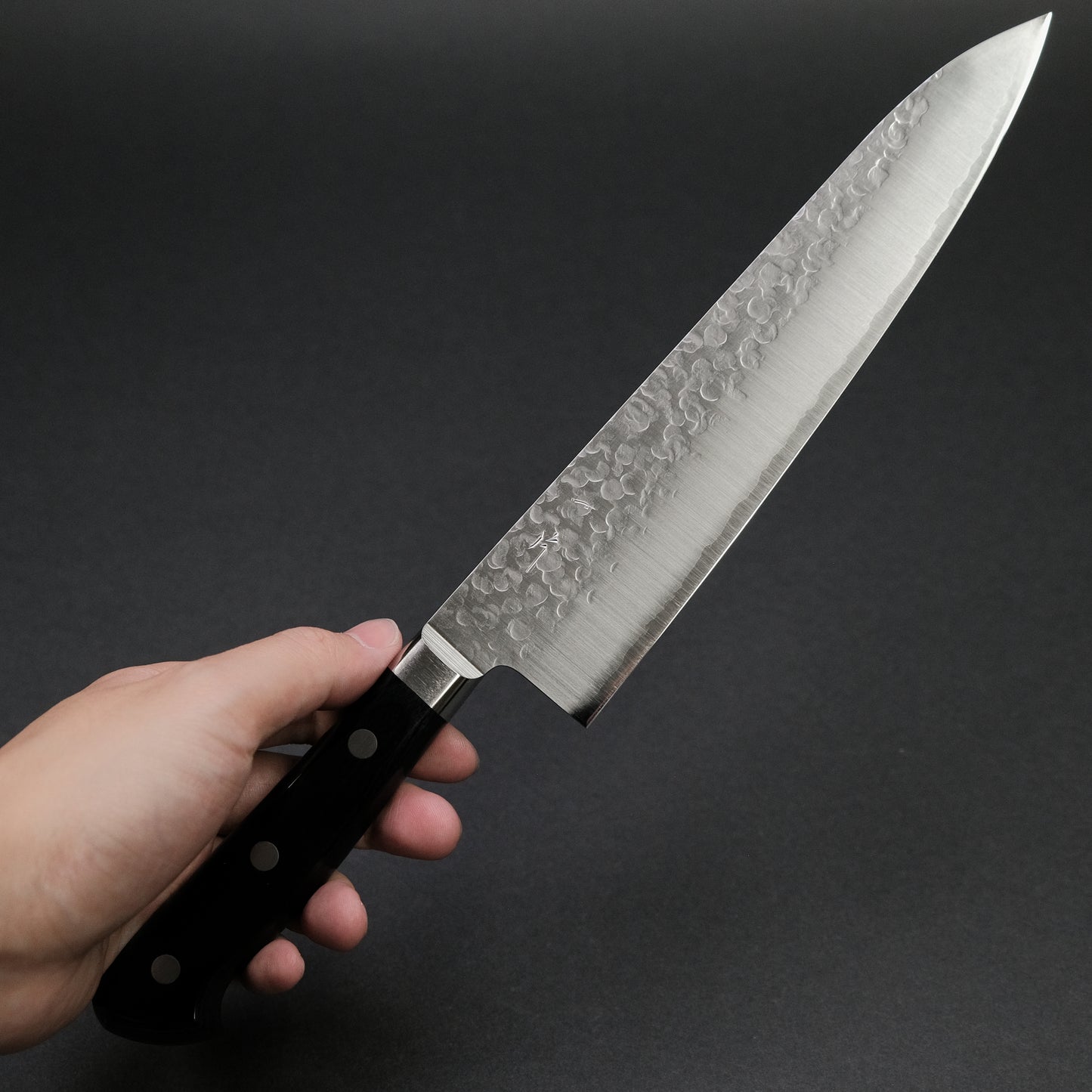 Hitohira T10 Tsuchime Gyuto 210mm Pakka Handle