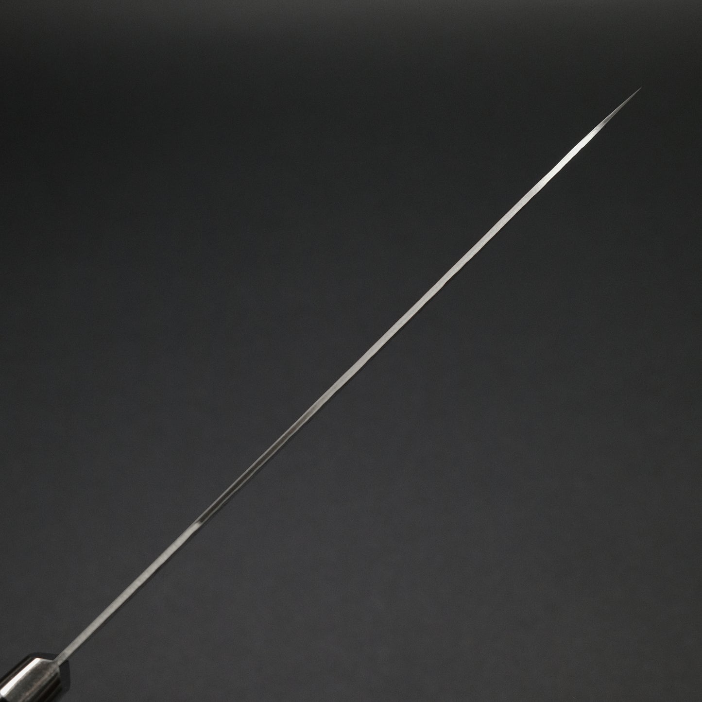 Hitohira T10 Tsuchime Gyuto 210mm Pakka Handle