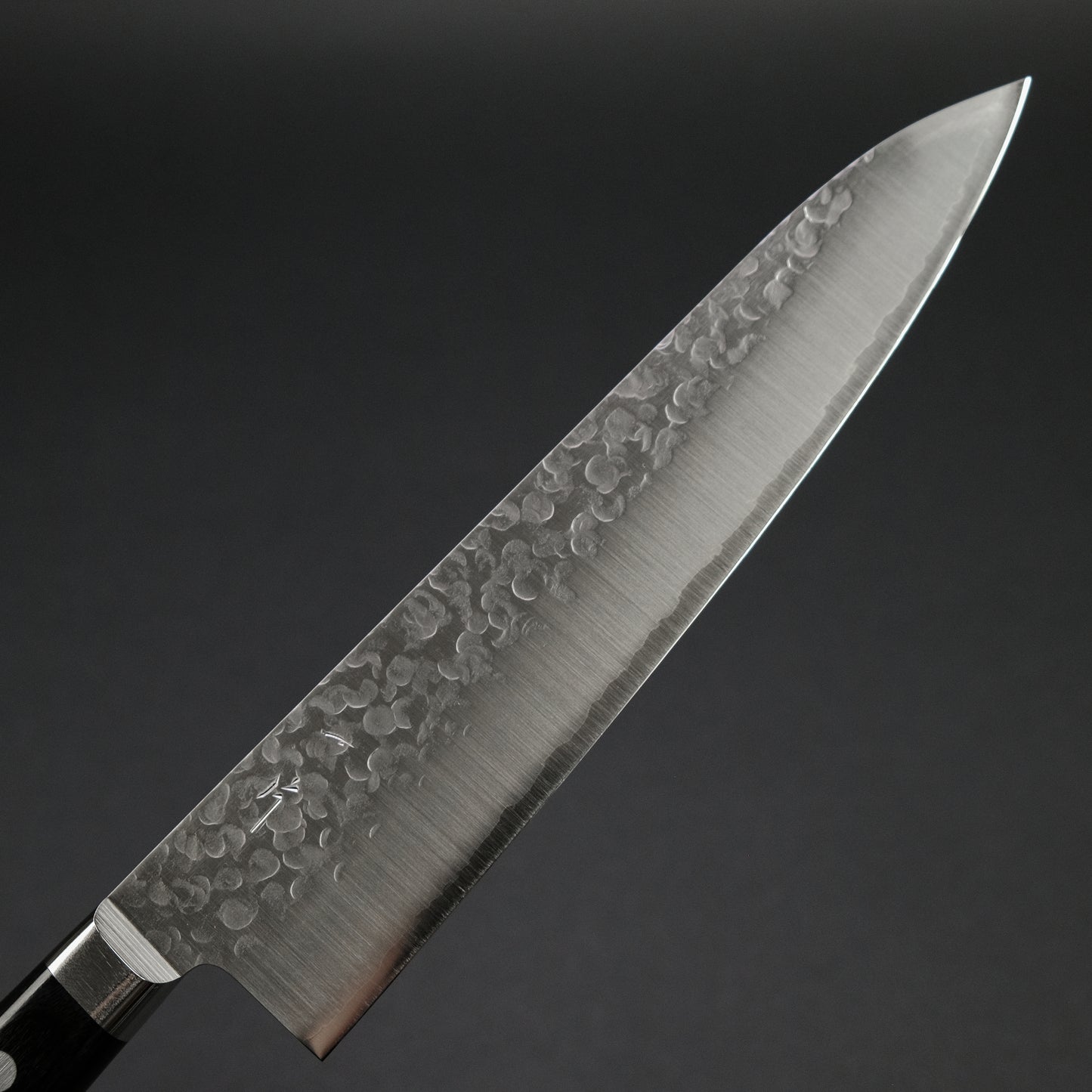 Hitohira T10 Tsuchime Gyuto 210mm Pakka Handle
