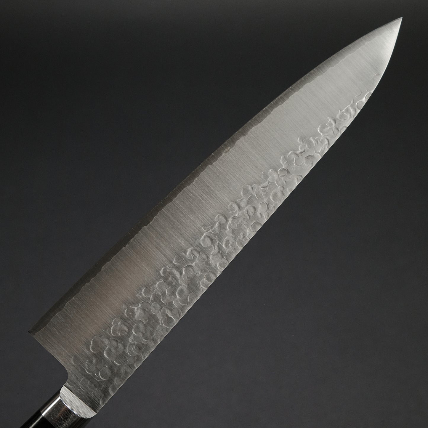 Hitohira T10 Tsuchime Gyuto 210mm Pakka Handle