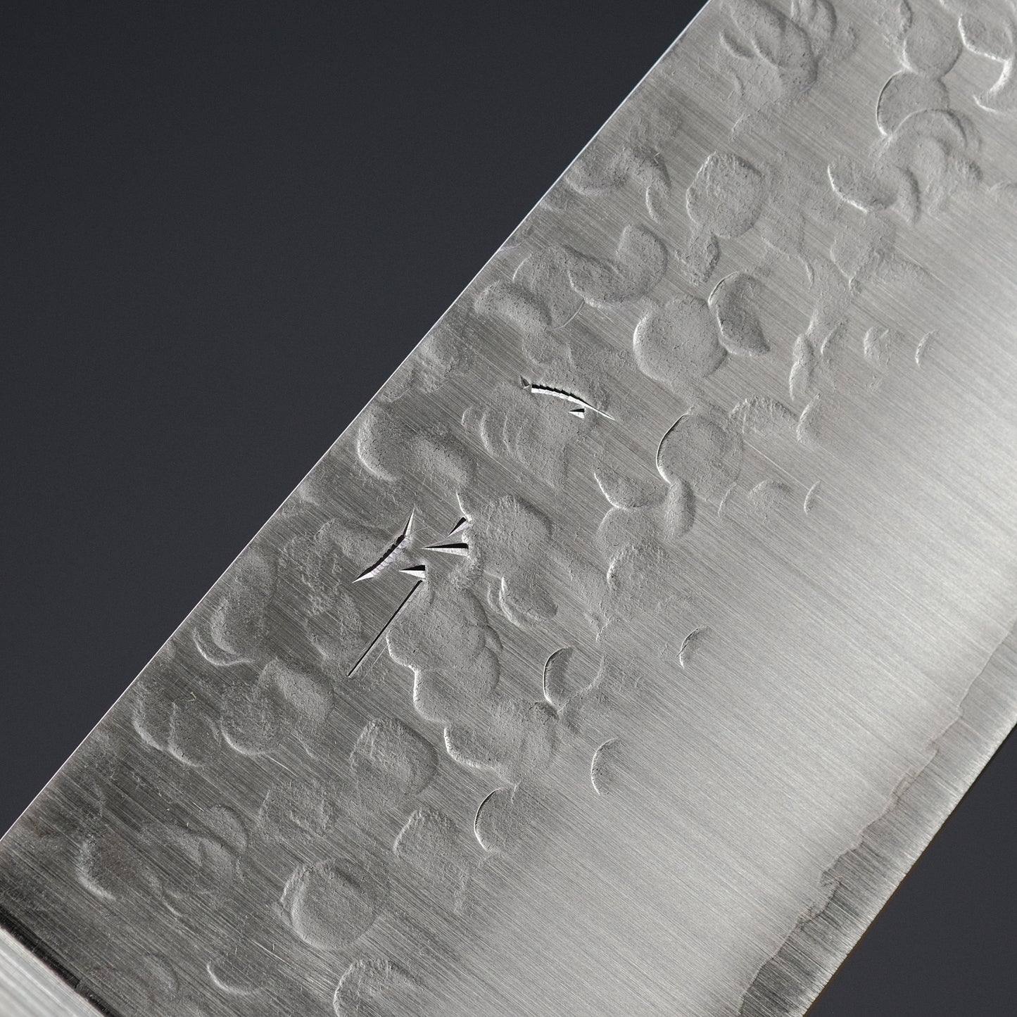 Hitohira T10 Tsuchime Gyuto 210mm Pakka Handle