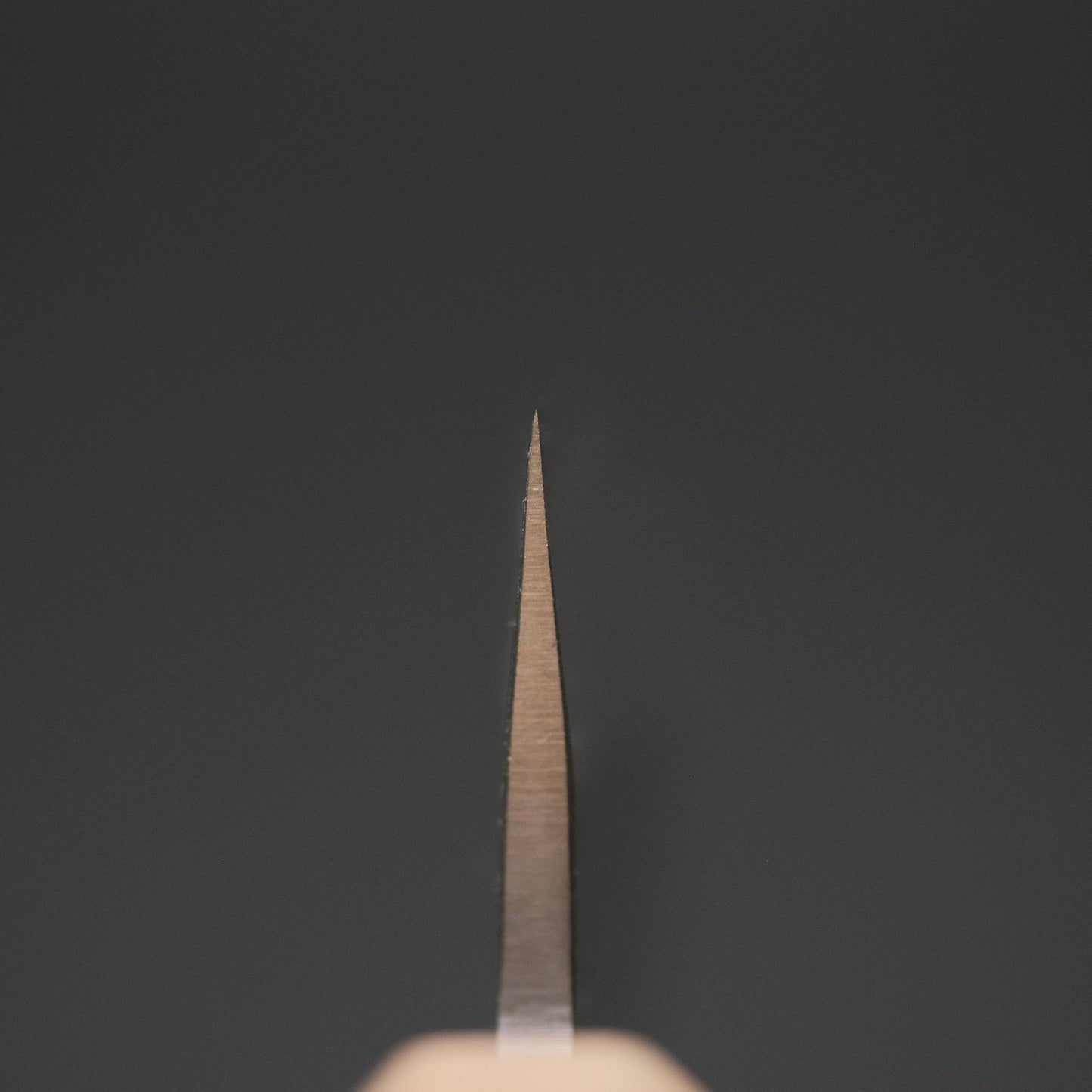 Hitohira TD Blue #2 Stainless Clad Kurouchi Petty 150mm Walnut Handle