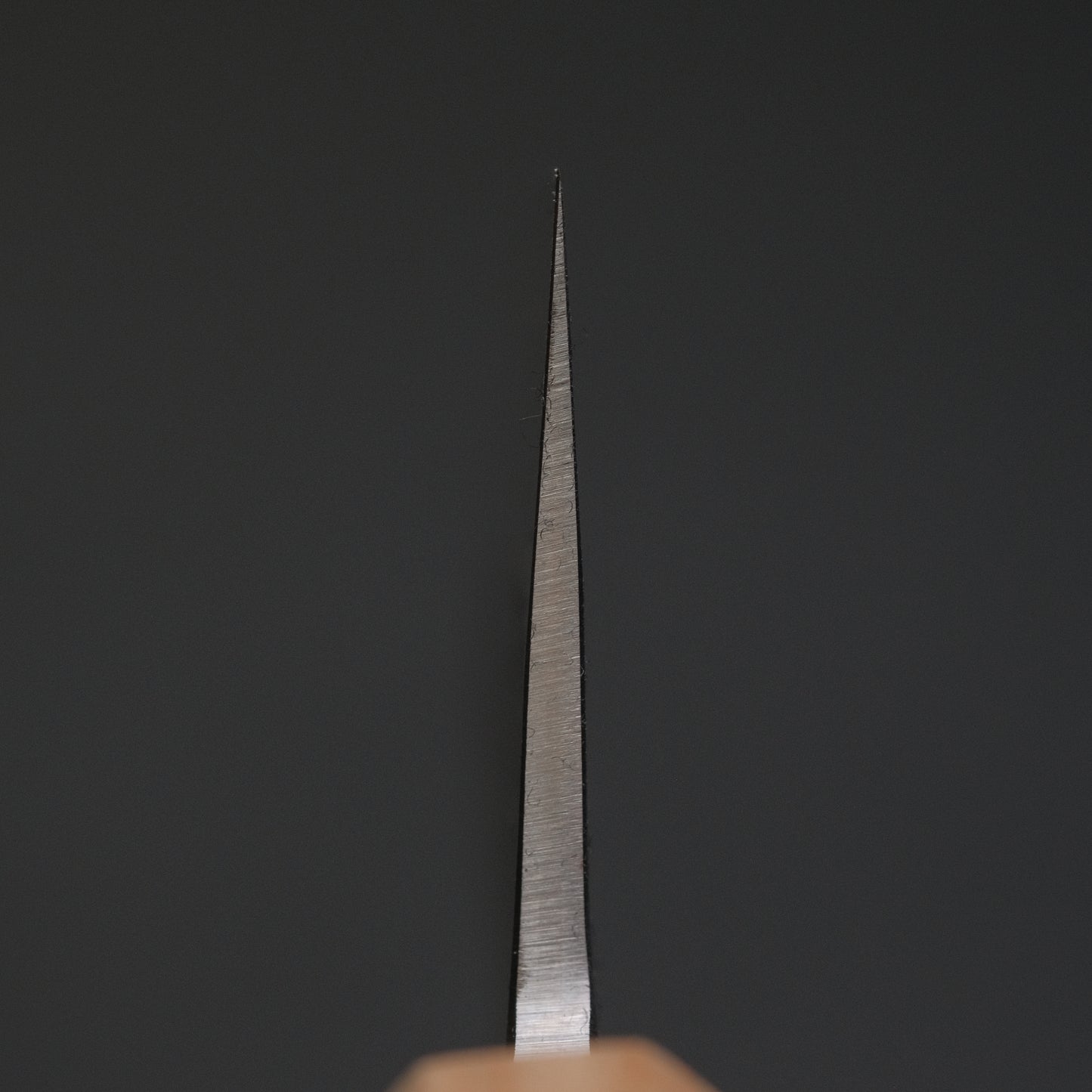 Hitohira TD SLD Nashiji Gyuto 240mm Walnut Handle