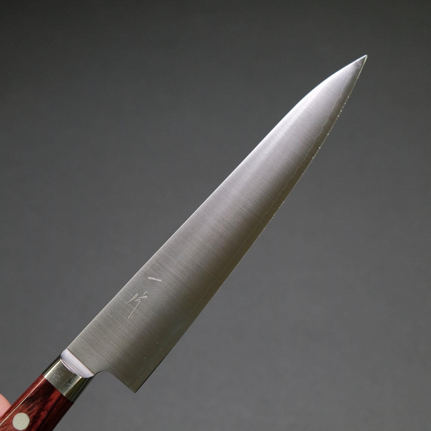 Hitohira TP Petty 150mm Wine Pakka Handle