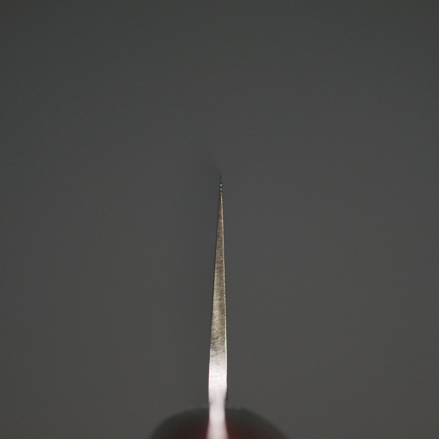 Hitohira TP Petty 150mm Wine Pakka Handle