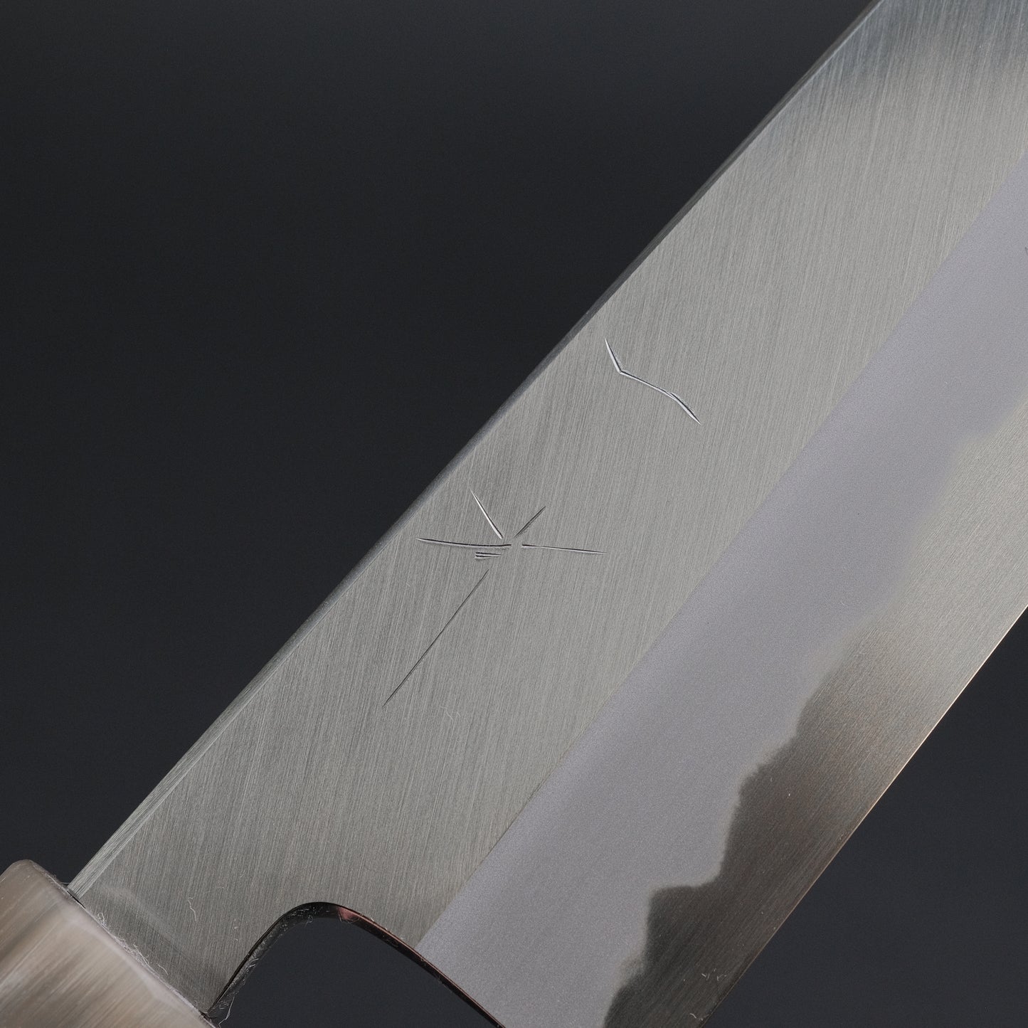 Hitohira Tanaka Kyuzo Blue #1 Migaki Gyuto 210mm Ziricote Handle