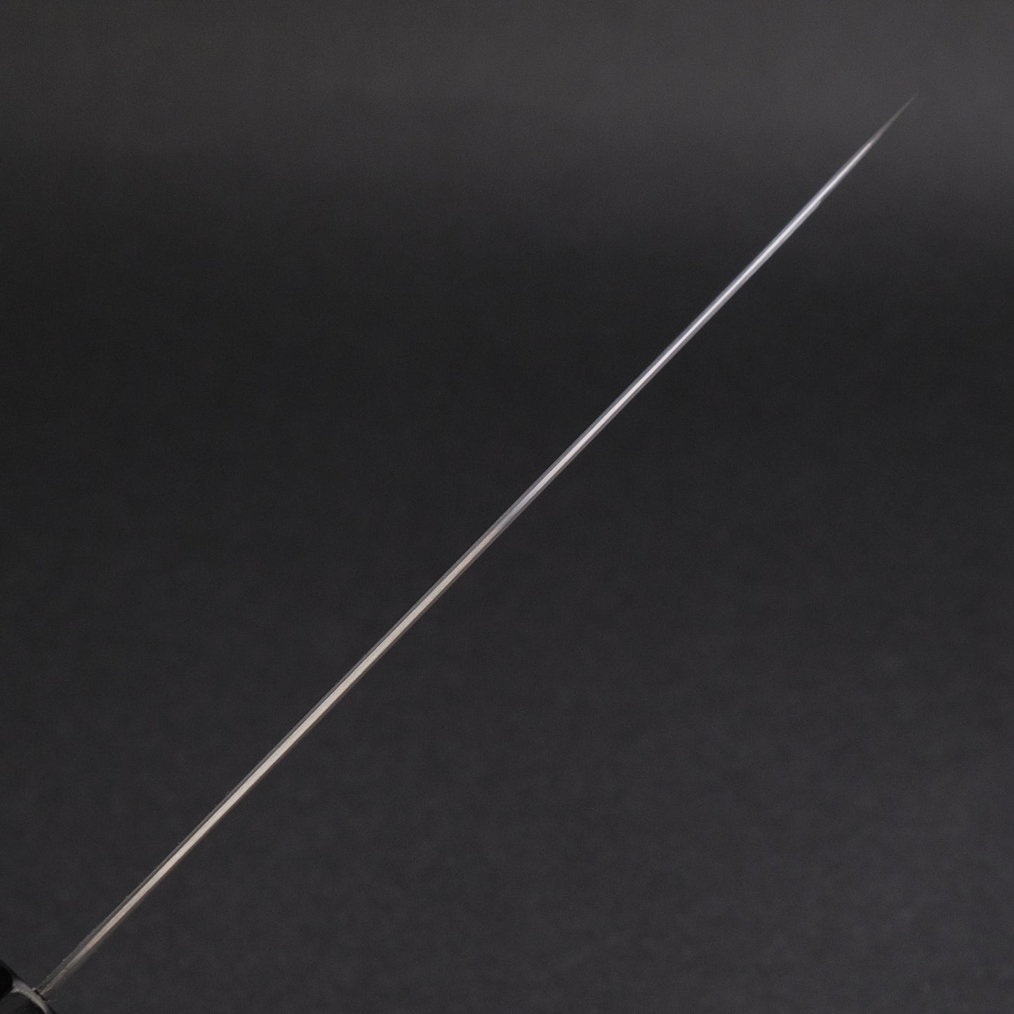 Hitohira Tanaka Kyuzo Blue #1 Migaki Gyuto 210mm Ziricote Handle