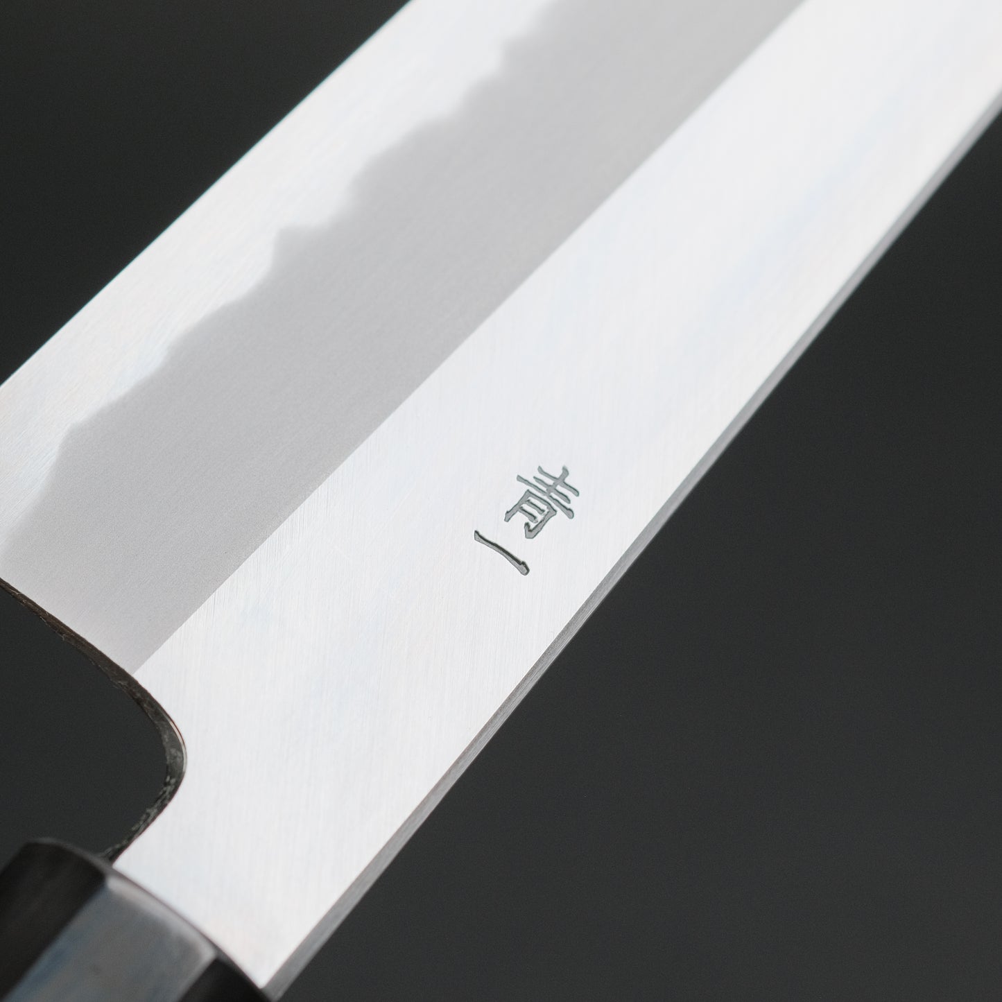 Hitohira Tanaka Kyuzo Blue #1 Migaki Gyuto 210mm Ziricote Handle
