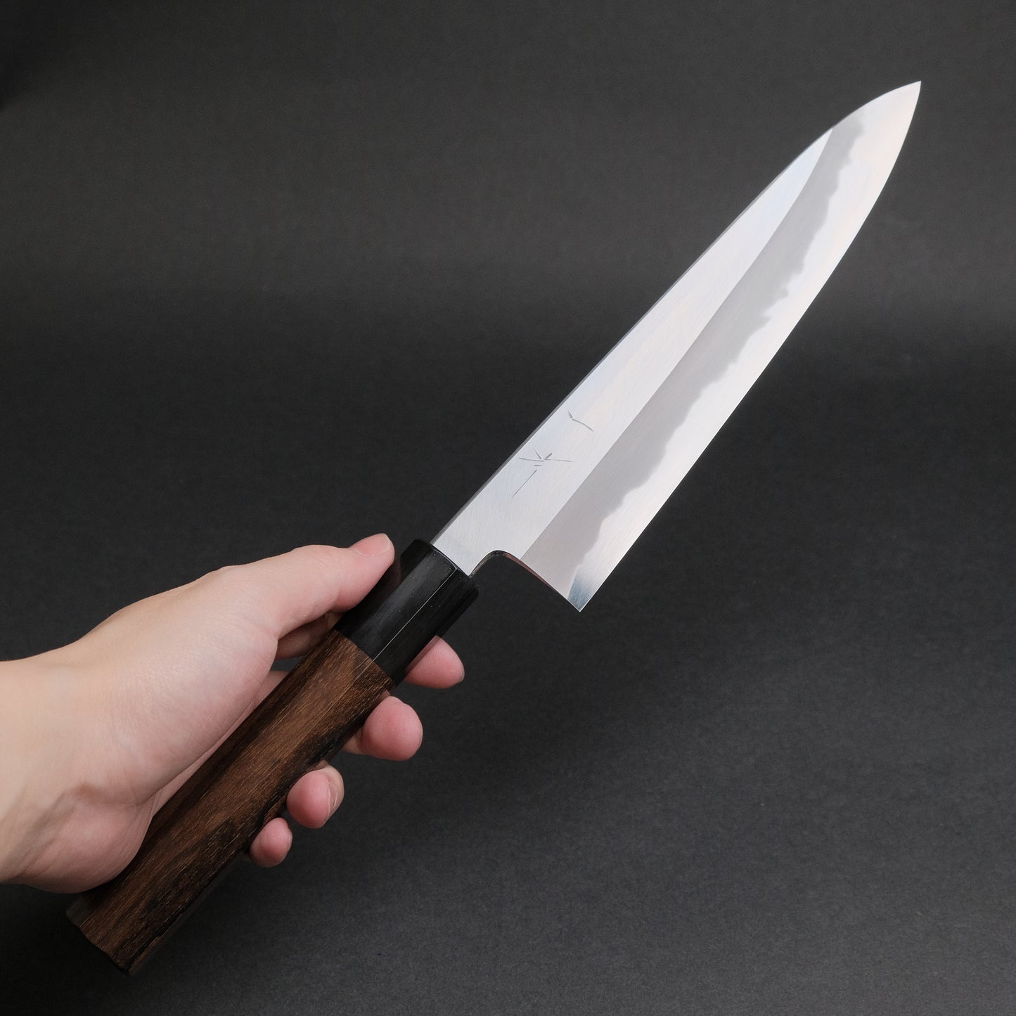 Hitohira Tanaka Kyuzo Blue #1 Migaki Gyuto 210mm Ziricote Handle