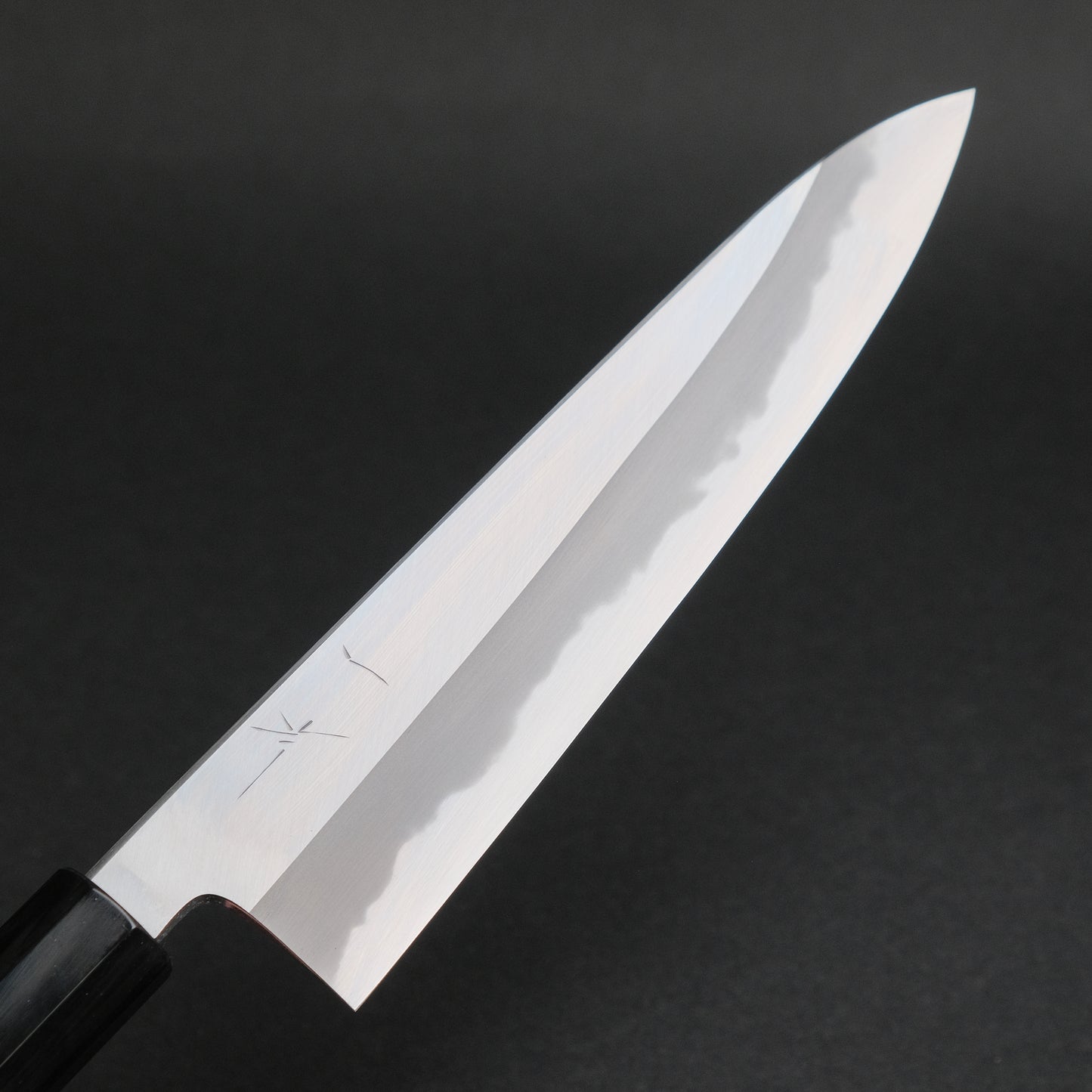 Hitohira Tanaka Kyuzo Blue #1 Migaki Gyuto 210mm Ziricote Handle