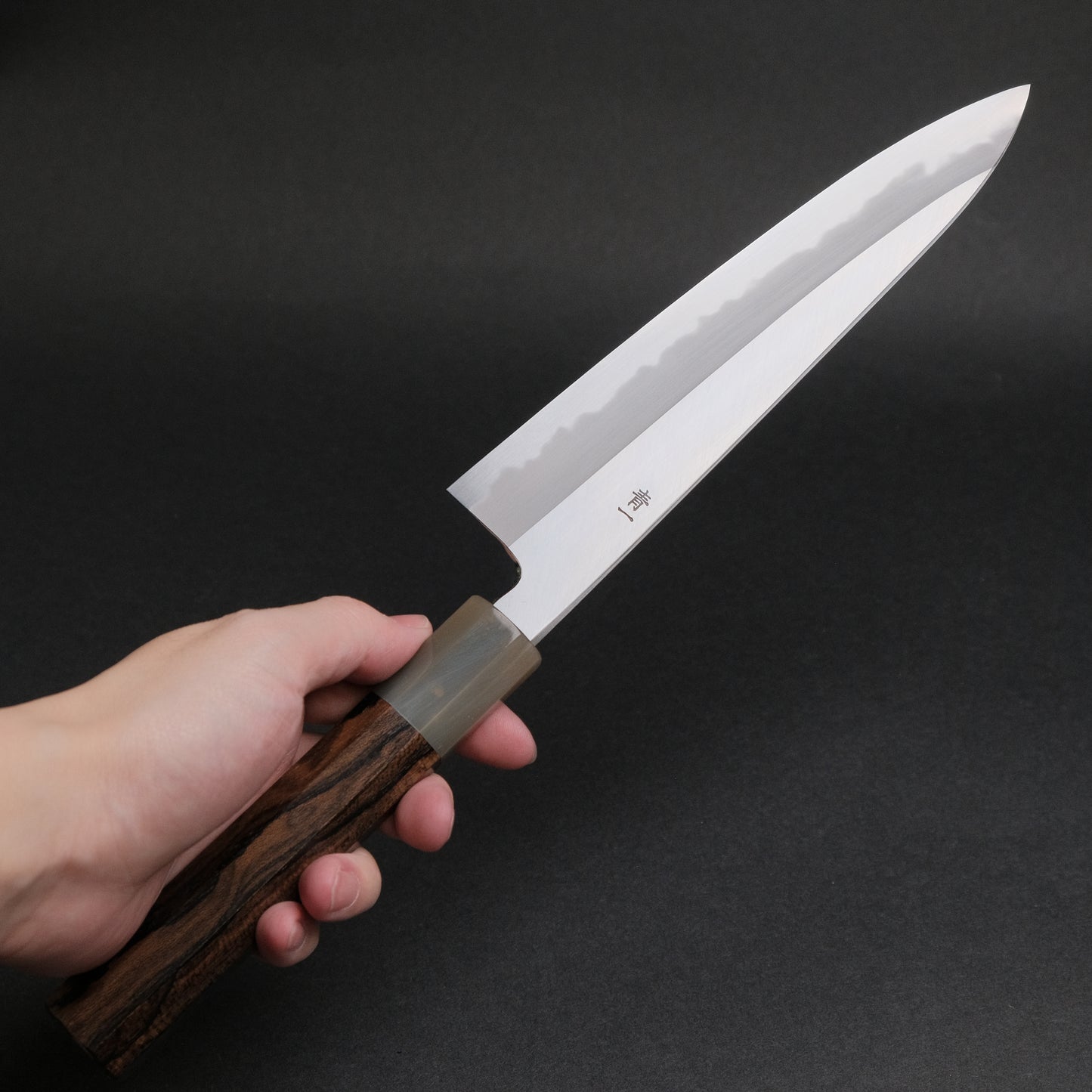 Hitohira Tanaka Kyuzo Blue #1 Migaki Gyuto 210mm Ziricote Handle