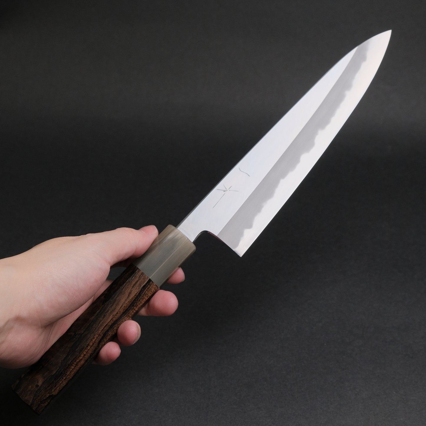 Hitohira Tanaka Kyuzo Blue #1 Migaki Gyuto 210mm Ziricote Handle