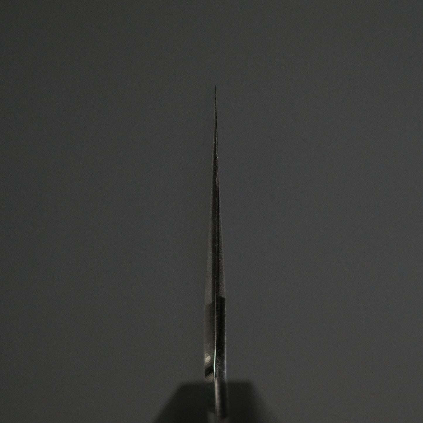 Hitohira Tanaka Kyuzo Blue #1 Migaki Gyuto 240mm Taihei Makassar Ebony Handle