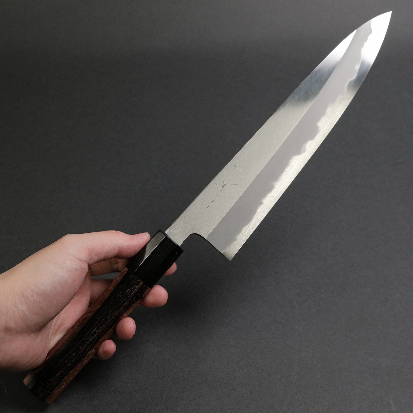 Hitohira Tanaka Kyuzo Blue #1 Migaki Gyuto 240mm Taihei Makassar Ebony Handle